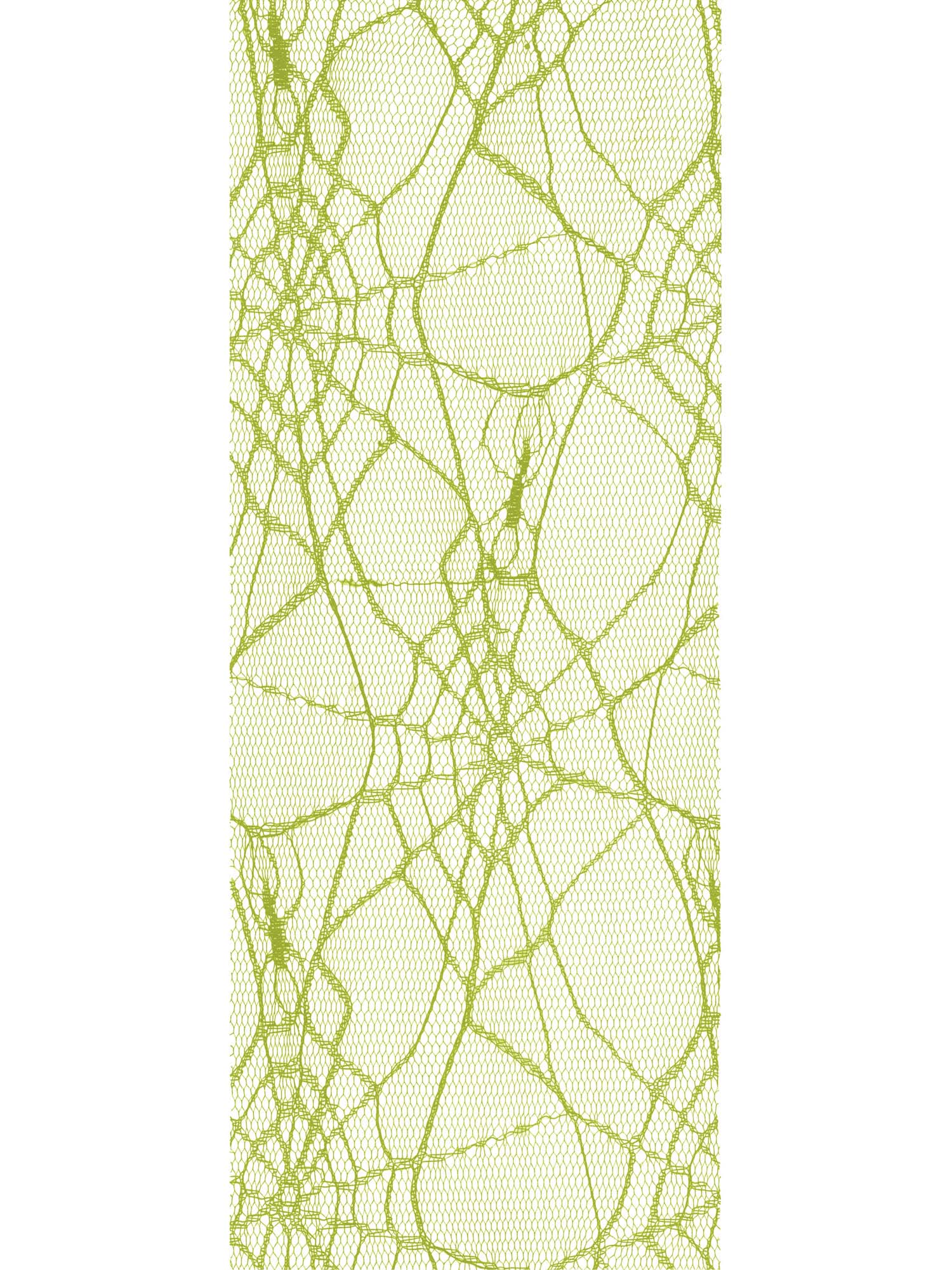 5 Yards Green Tulle Spider Web Decoration - Image 2