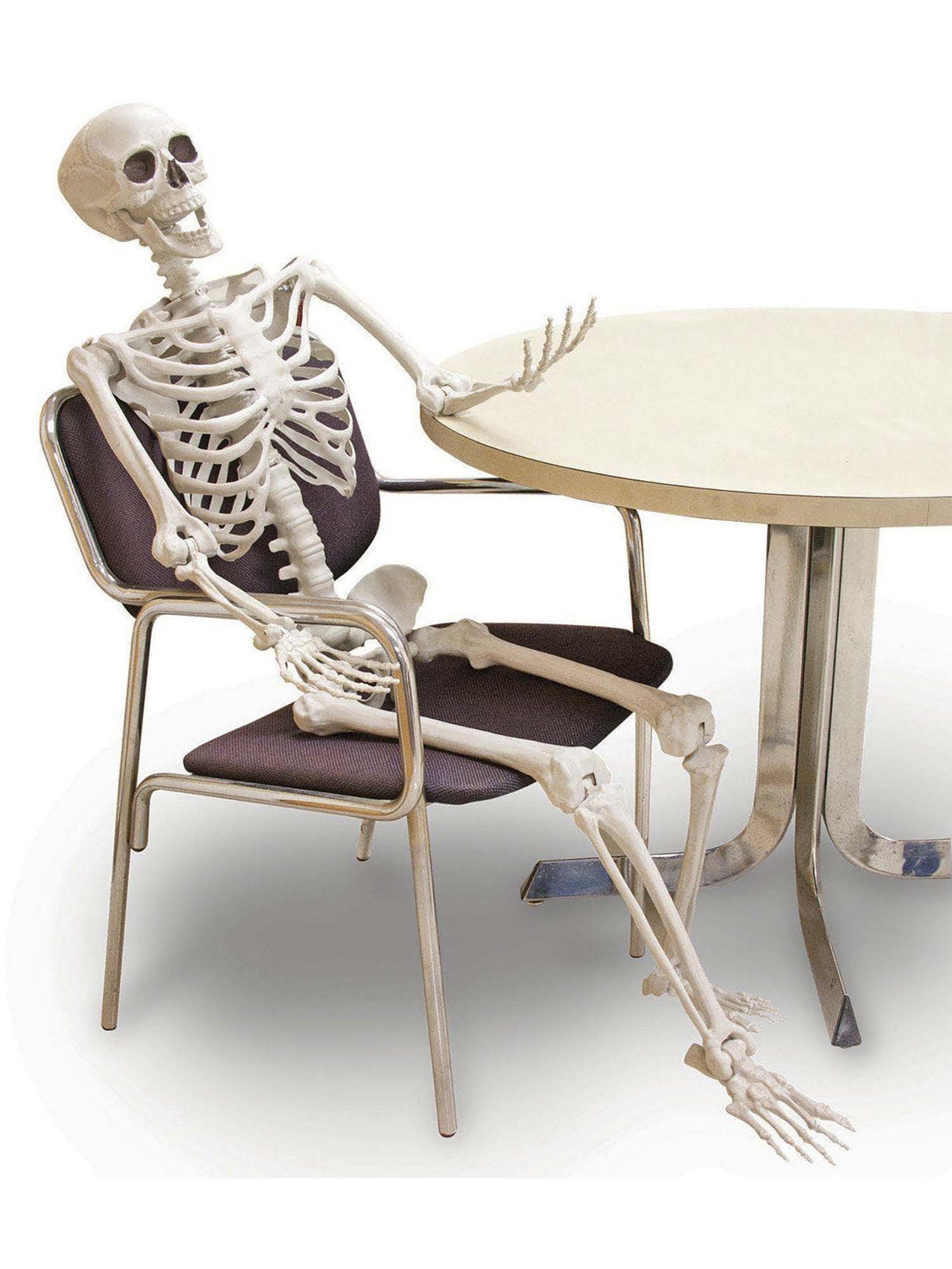 60-inch Posable Skeleton - Image 4