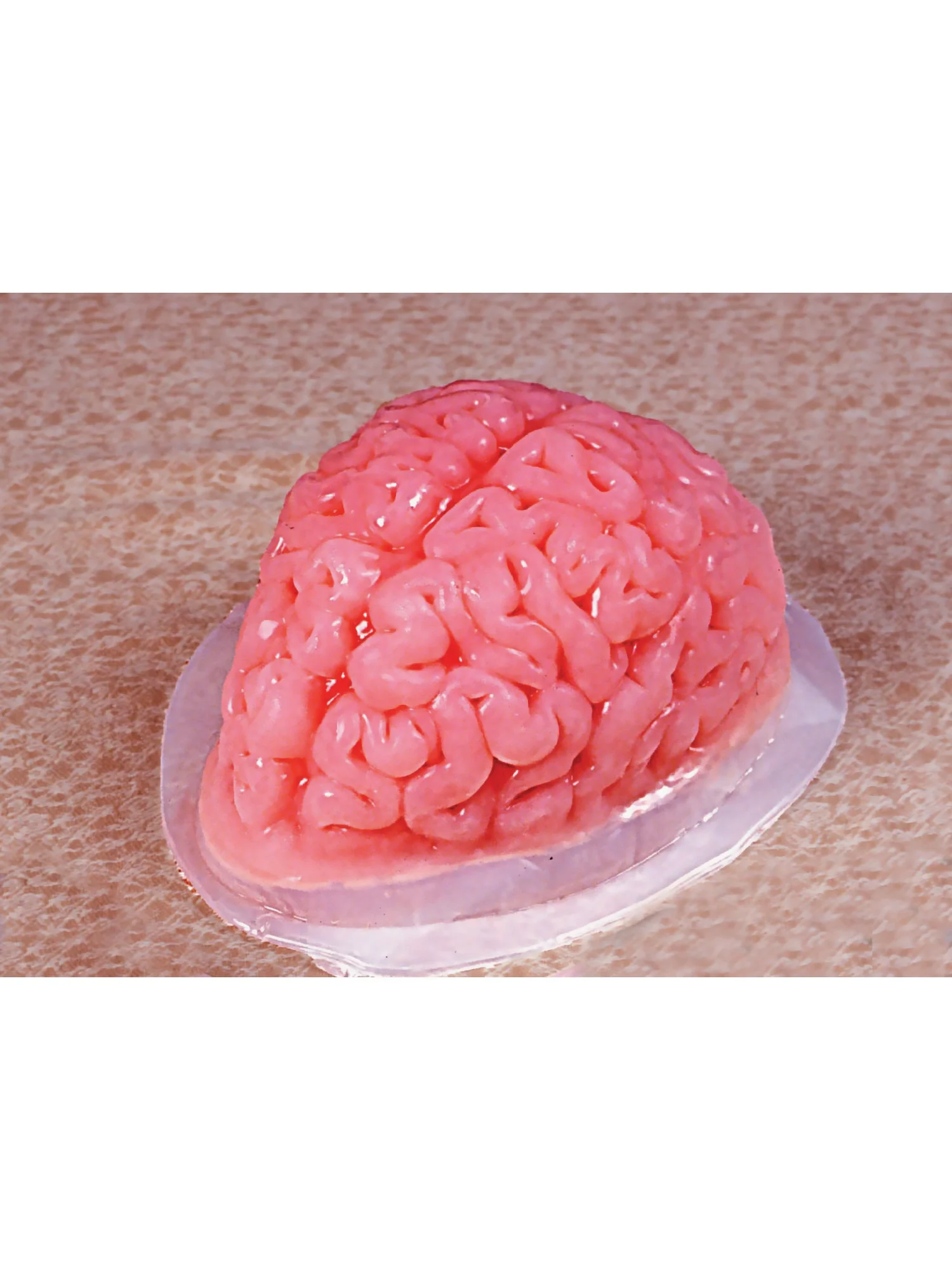 9-inch Brain Shaped Plastic Gelatin Mold - Image 2