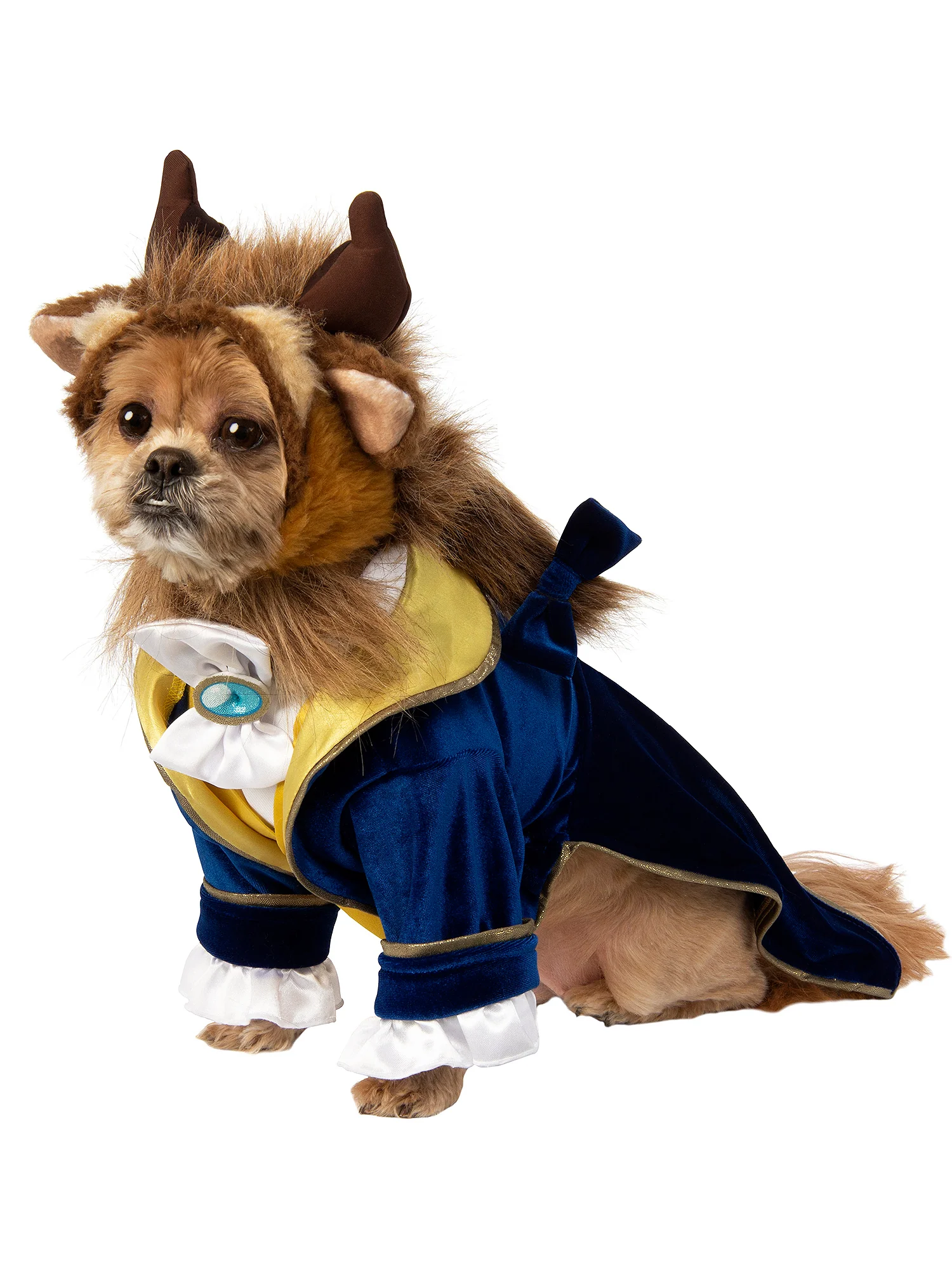 Beauty and the Beast Pet Costume