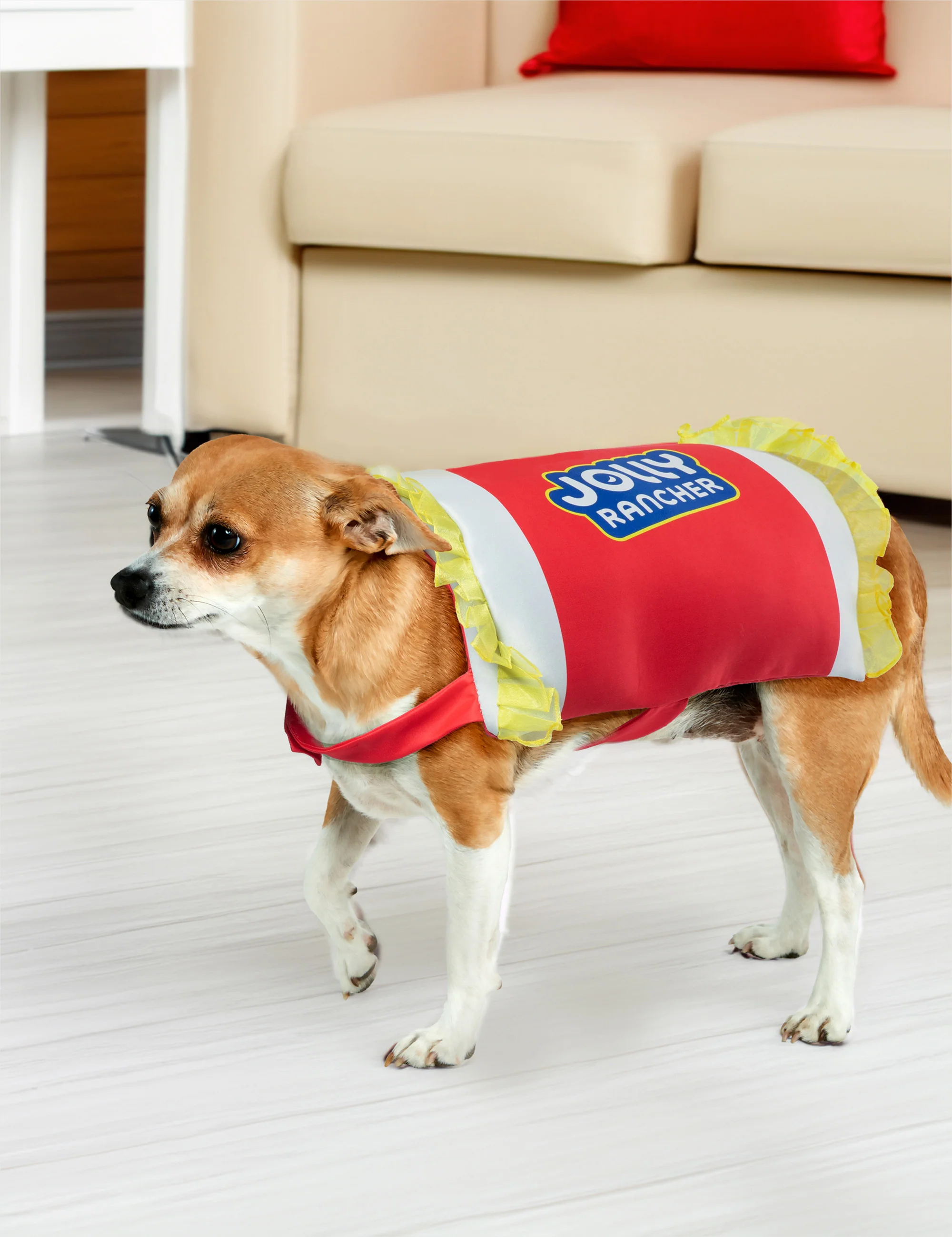 Cherry Jolly Rancher Pet Costume - Image 3