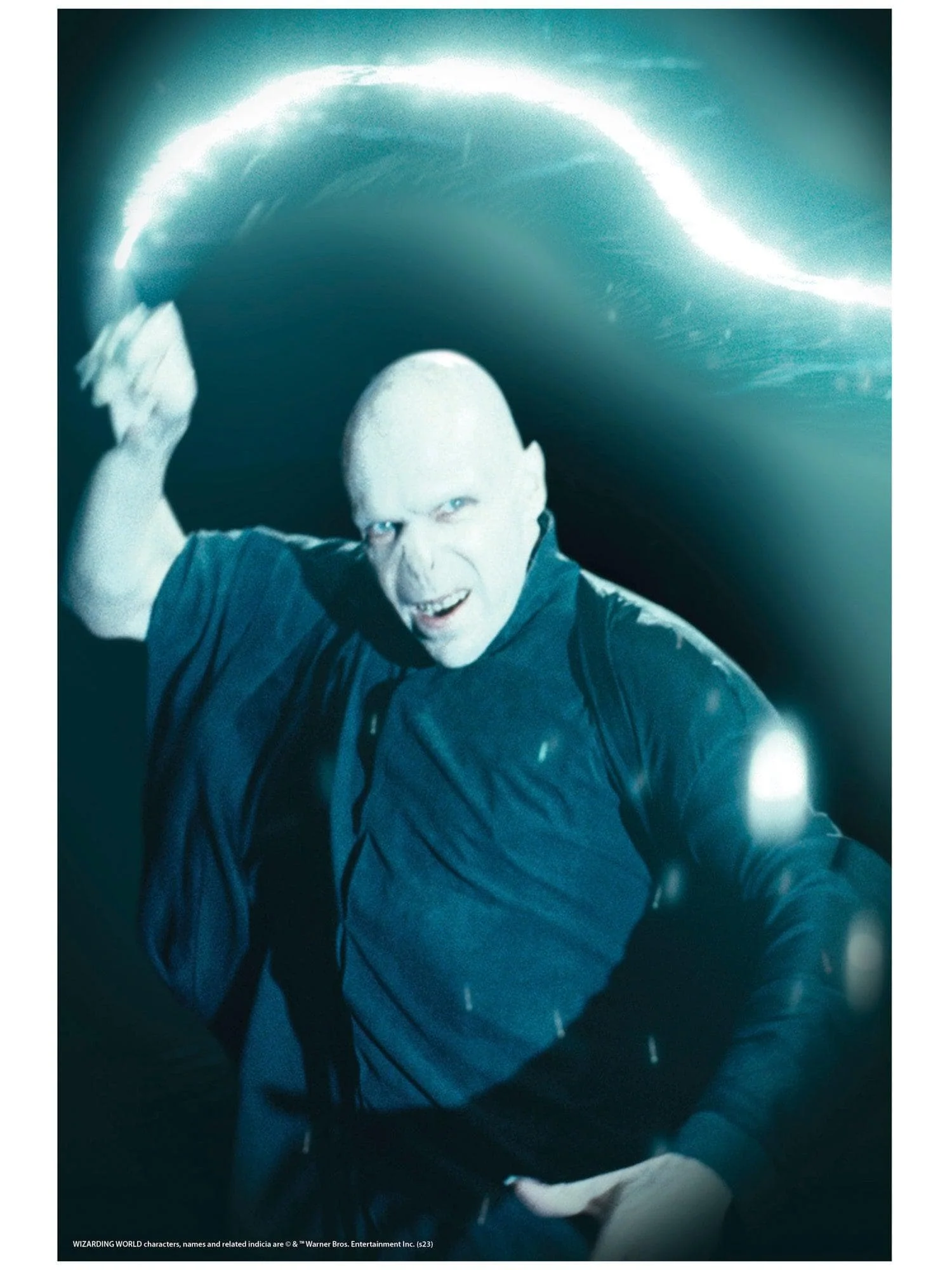 Harry Potter Voldemort Window Cover Decoration