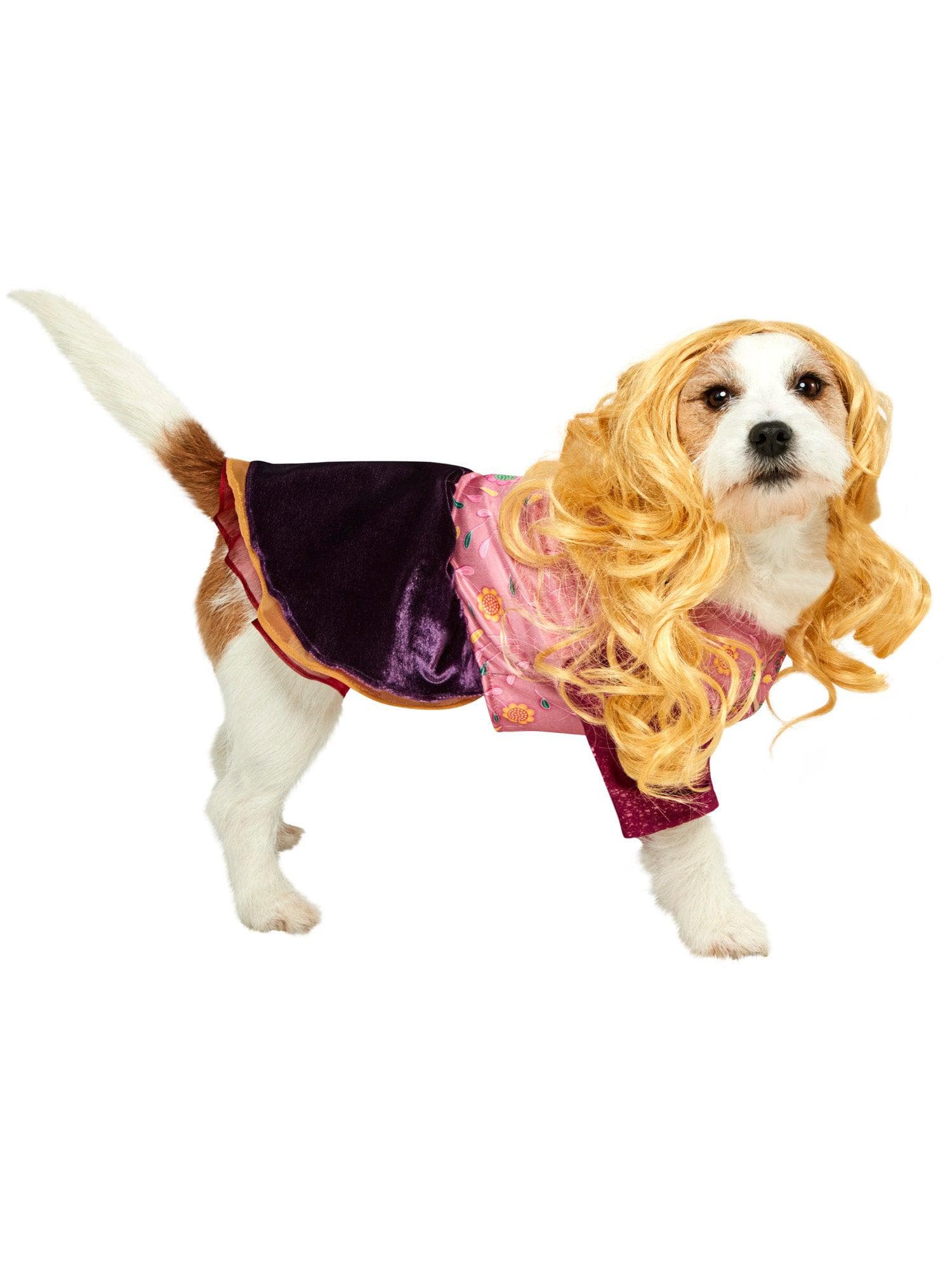 Hocus Pocus Sarah Pet Costume - Image 2