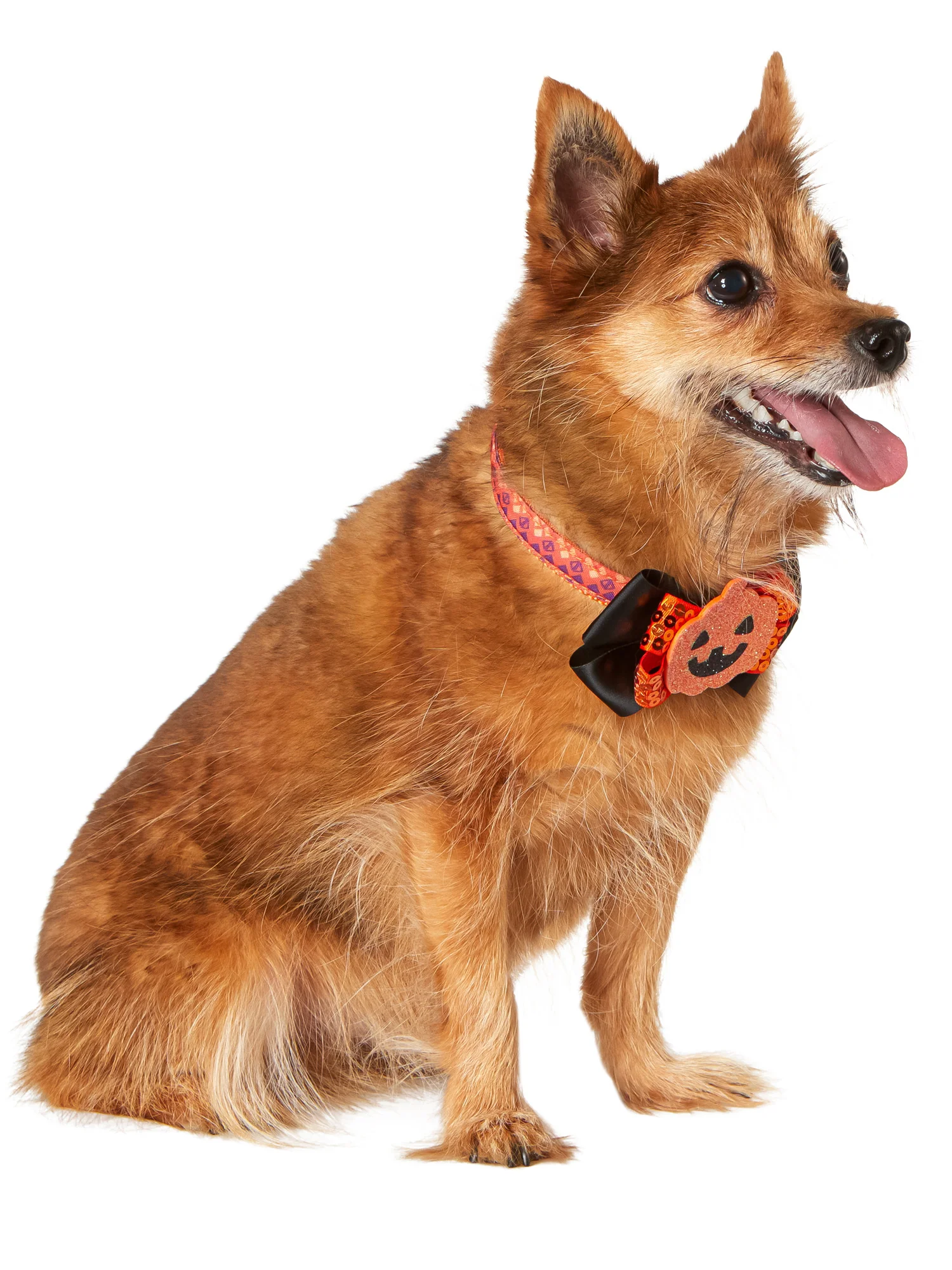 Jack-O-Lantern and Ghost Interchangeable Pet Collar Set - Image 3