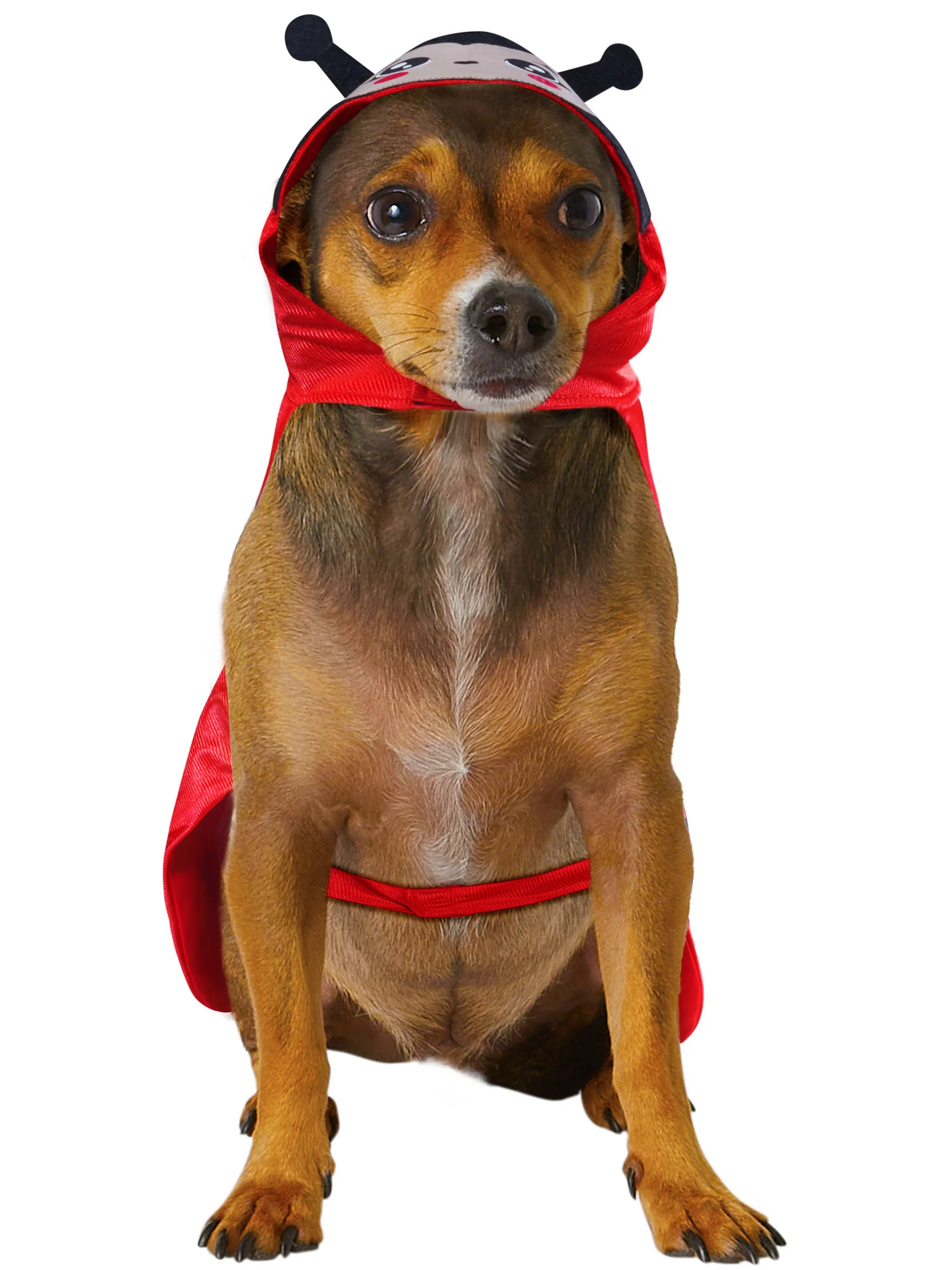 Ladybug Pet Costume - Image 2