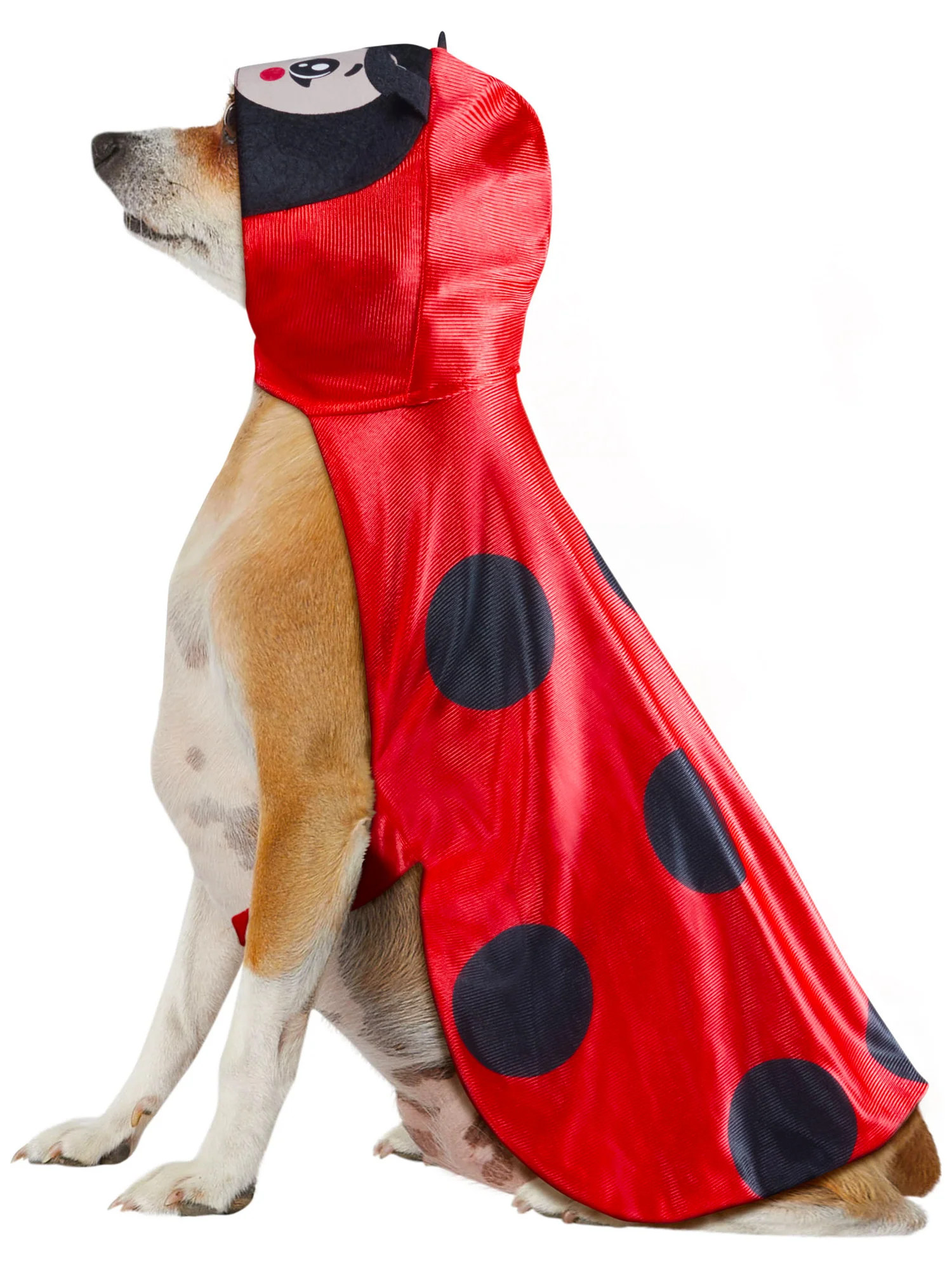 Ladybug Pet Costume - Image 3
