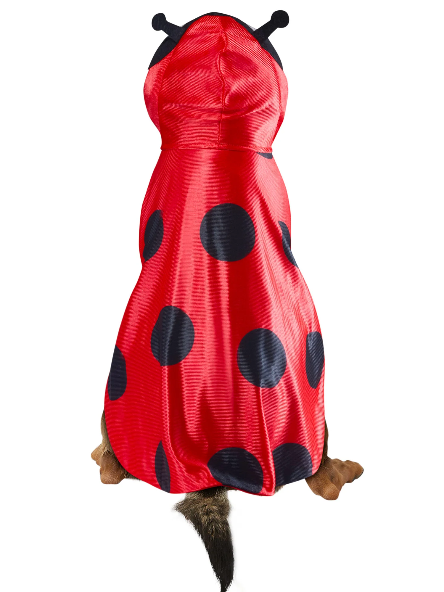 Ladybug Pet Costume - Image 4