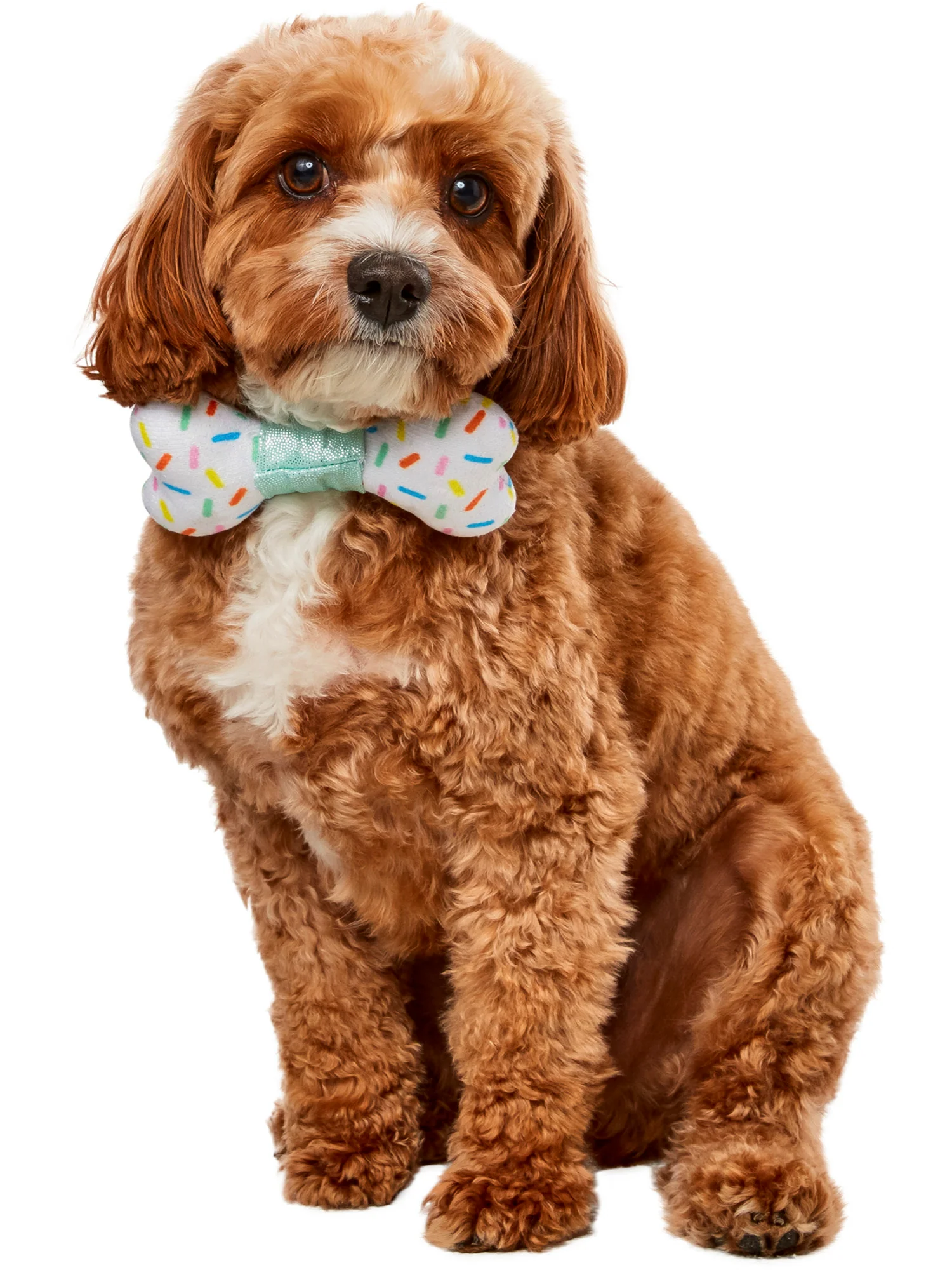 Sprinkles Bone Pet Bowtie