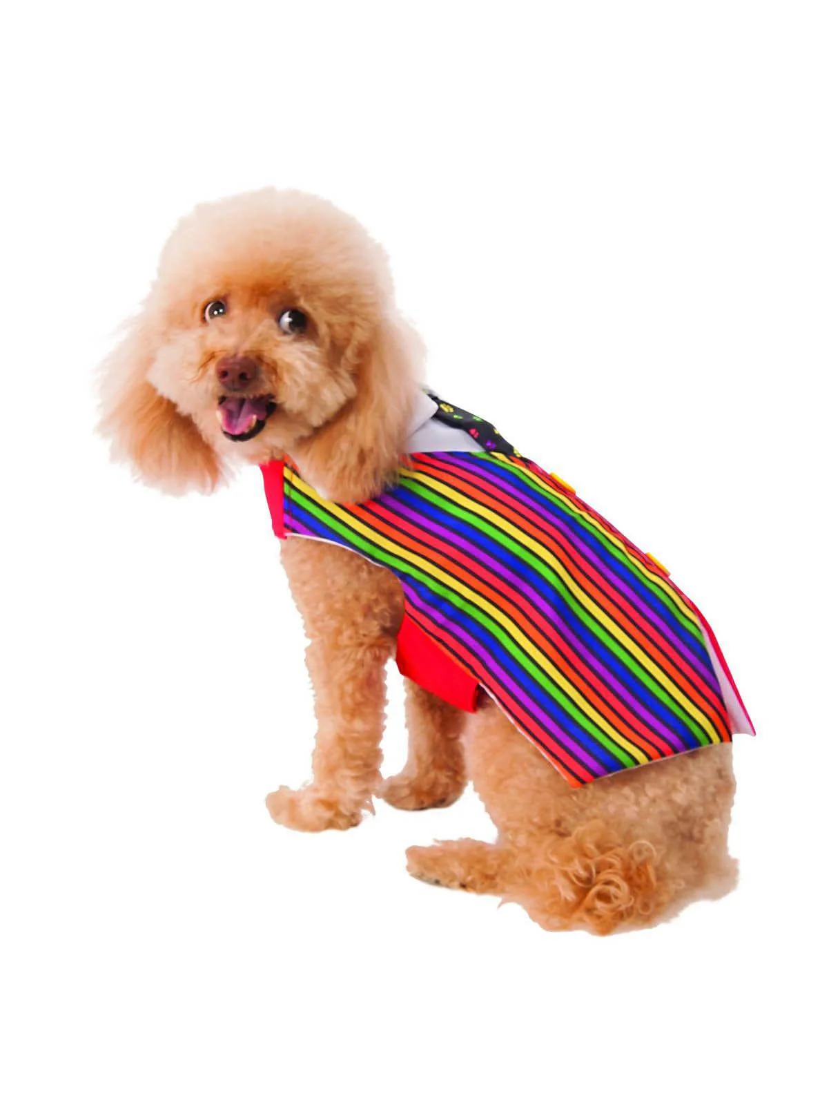 Pet Barkday Vest Costume - Image 2