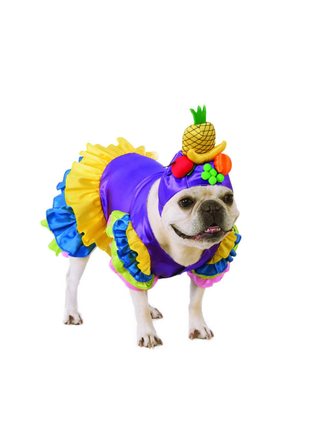 Brazilian Samba Inspired Pet Costume