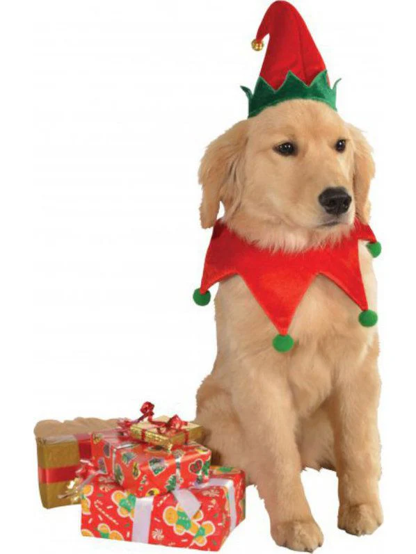 Red and Green Elf Pet Collar and Hat