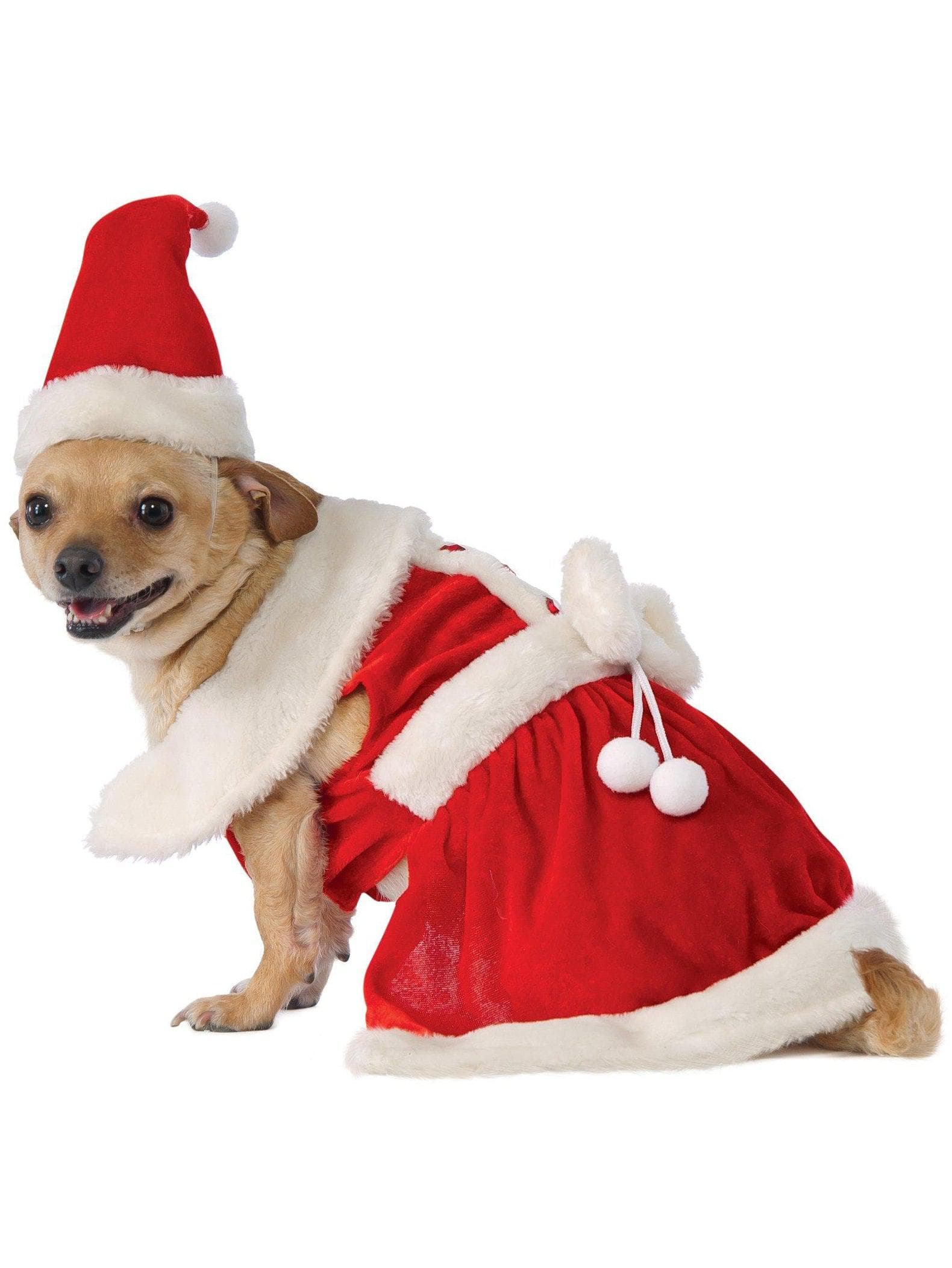 Pet Mrs. Claus Costume