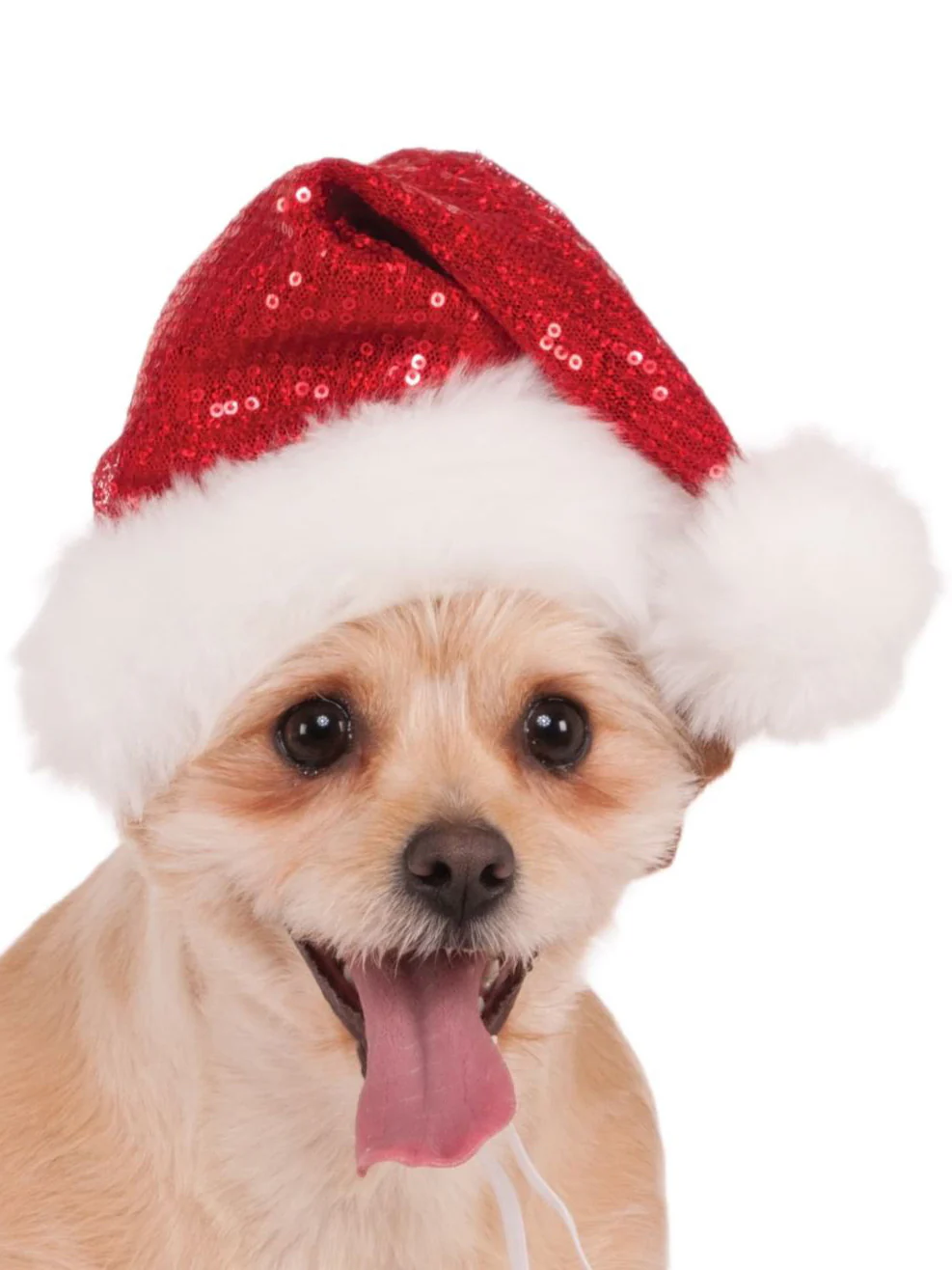 Red Sequin Pet Santa Hat