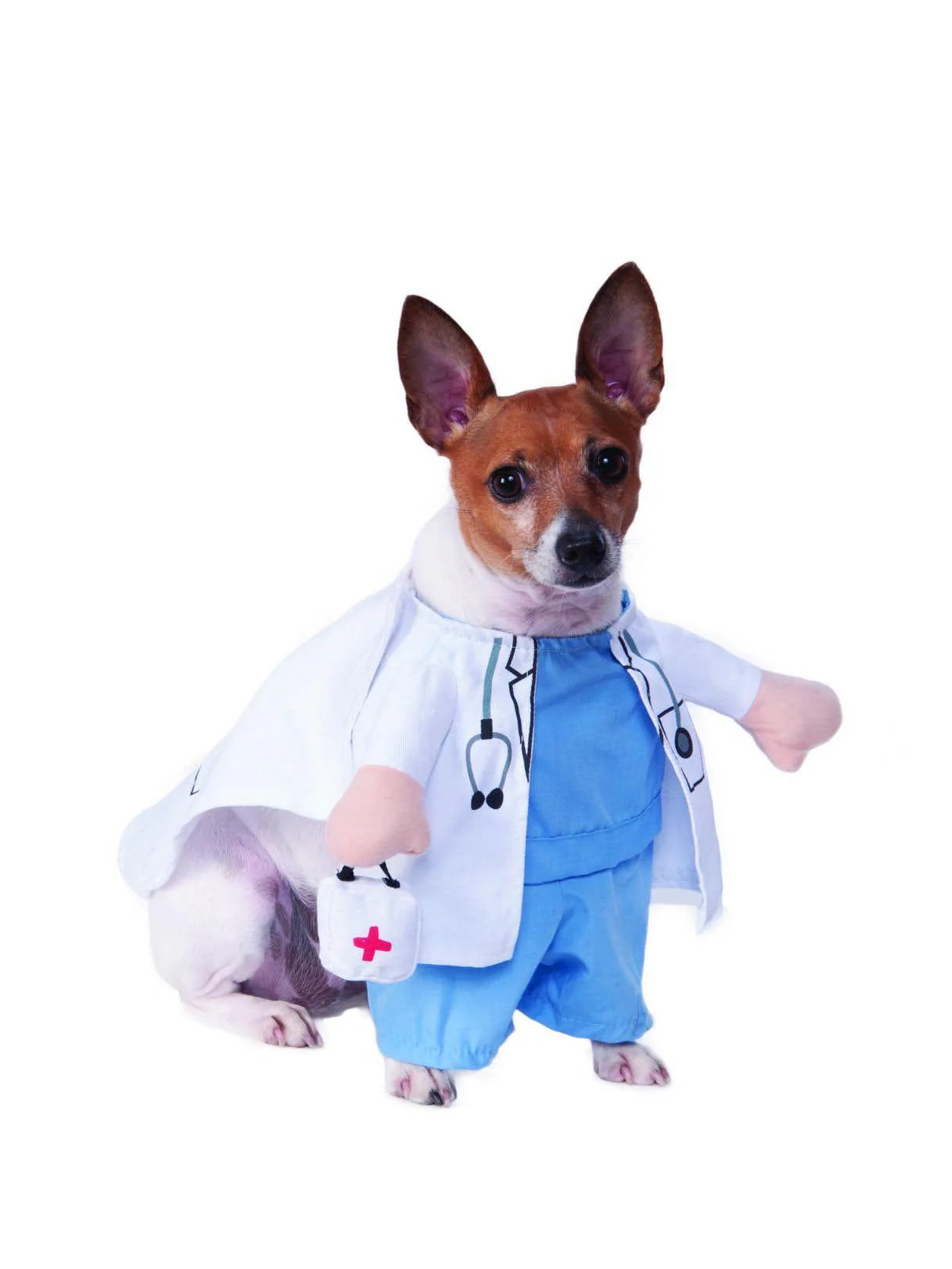 Veterinarian Walking Pet Costume - Image 2