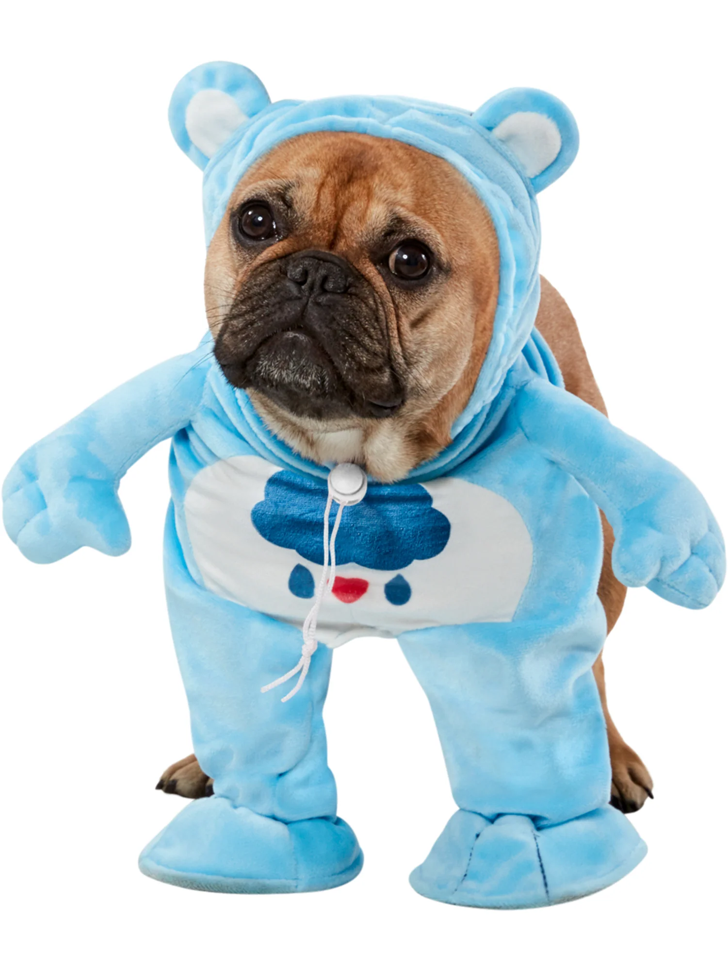 Care Bears Grumpy Bear Walking Pet Costume