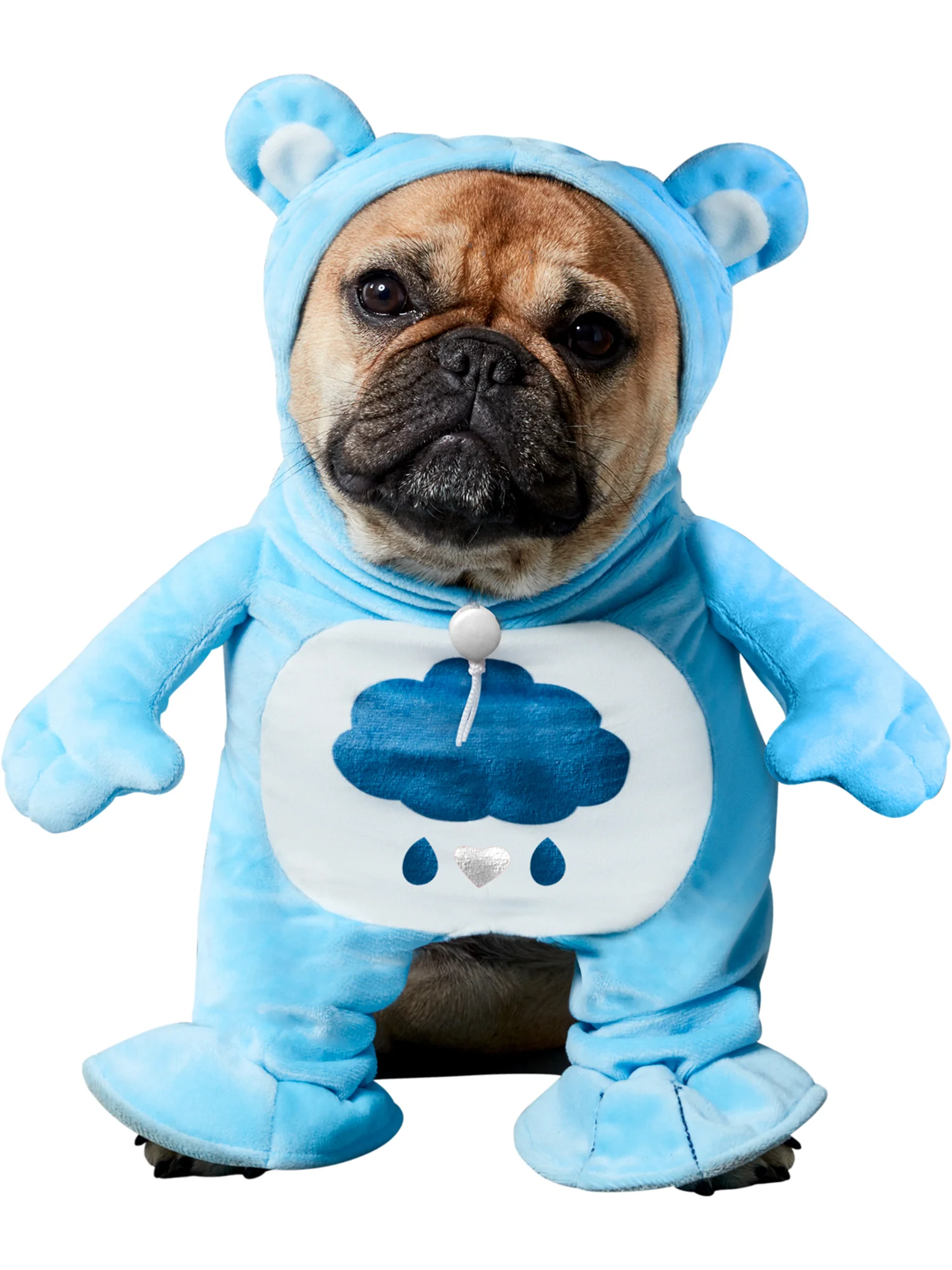 Care Bears Grumpy Bear Walking Pet Costume - Image 2