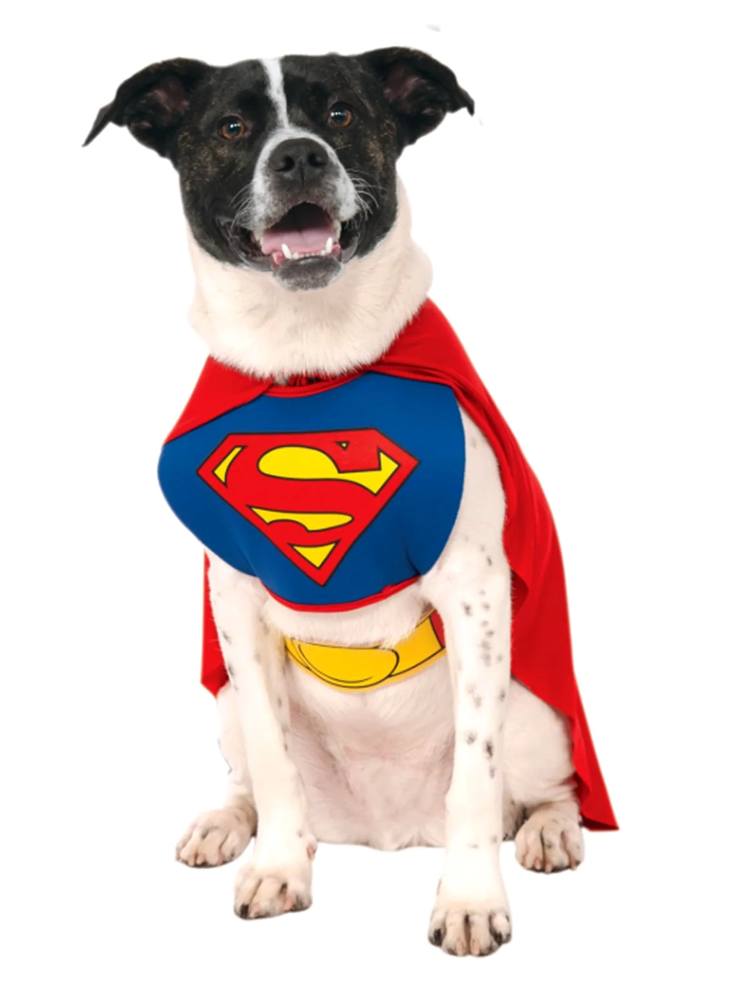 DC Comics Superman Pet Costume - Classic