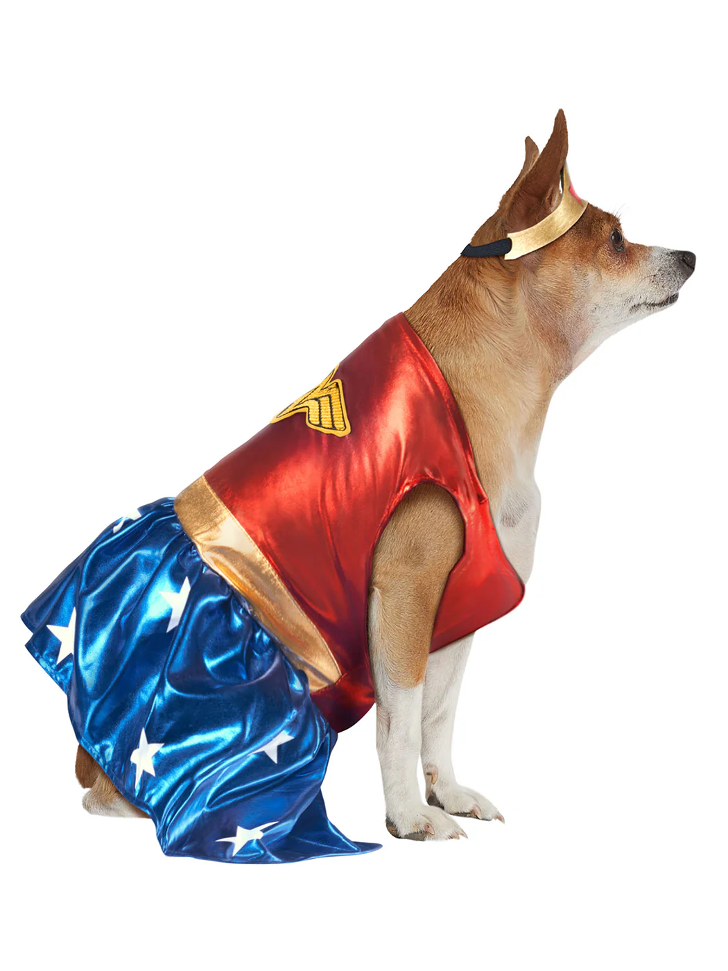 DC Comics Wonder Woman Pet Costume - Classic - Image 3