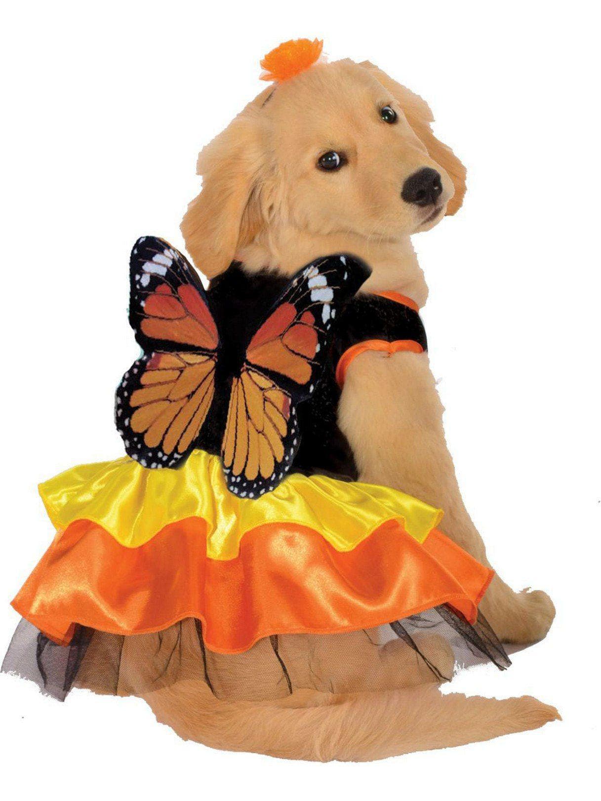 Monarch Butterfly Pet Costume