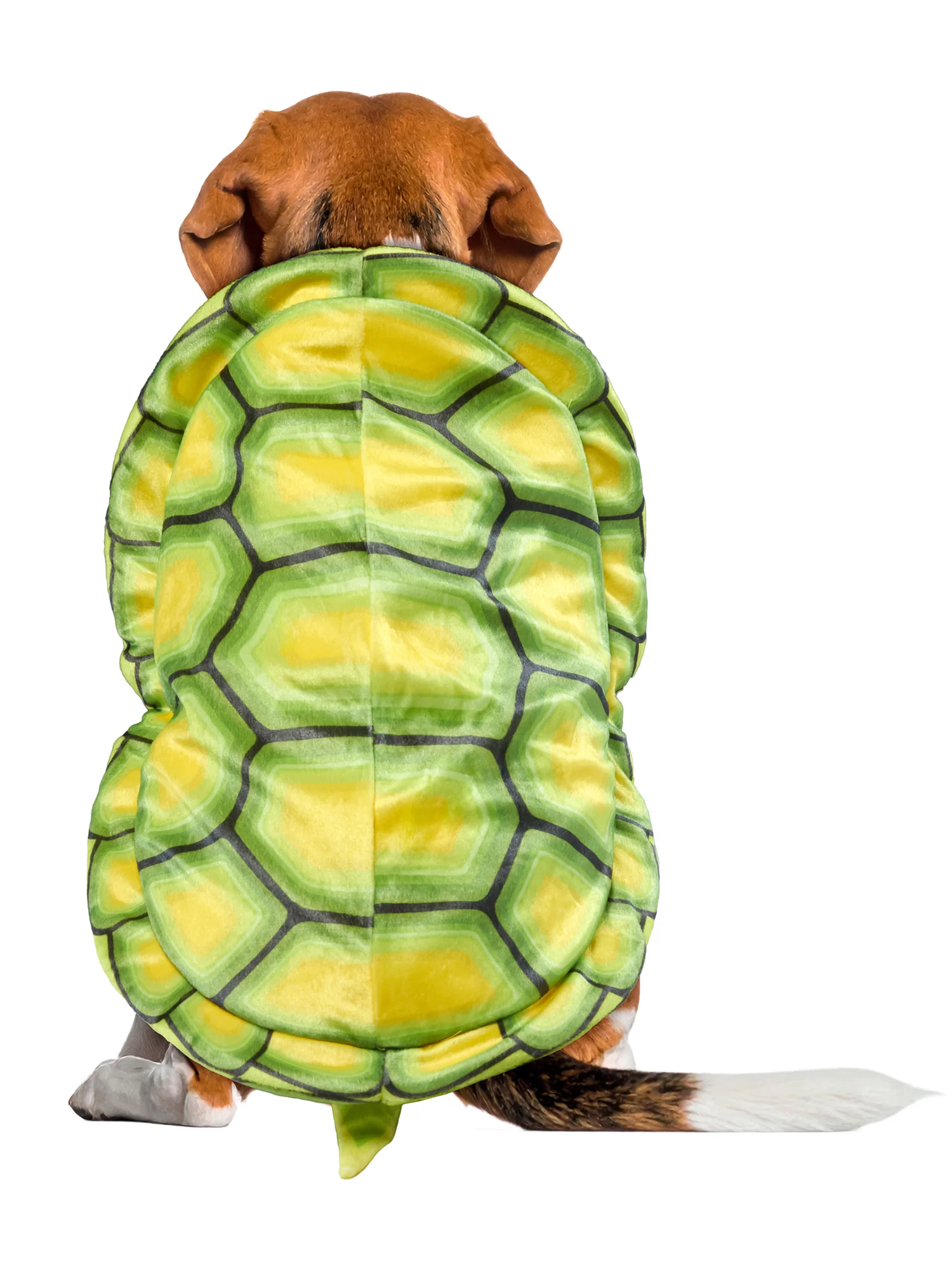 Turtle Shell Pet Costume - Image 3