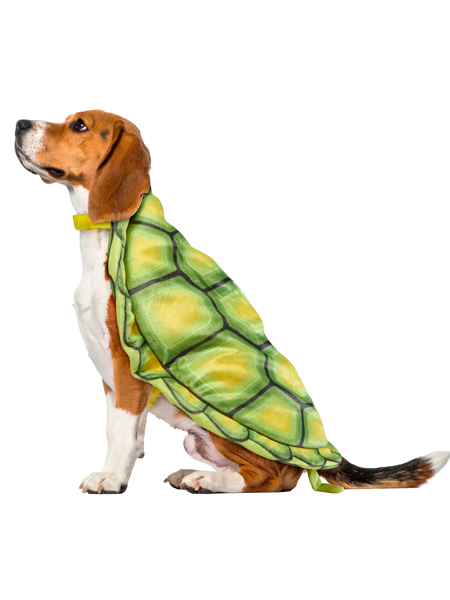 Turtle Shell Pet Costume - Image 5