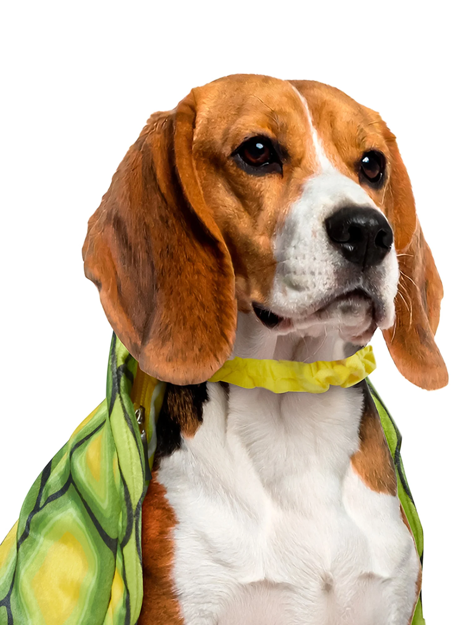 Turtle Shell Pet Costume - Image 6