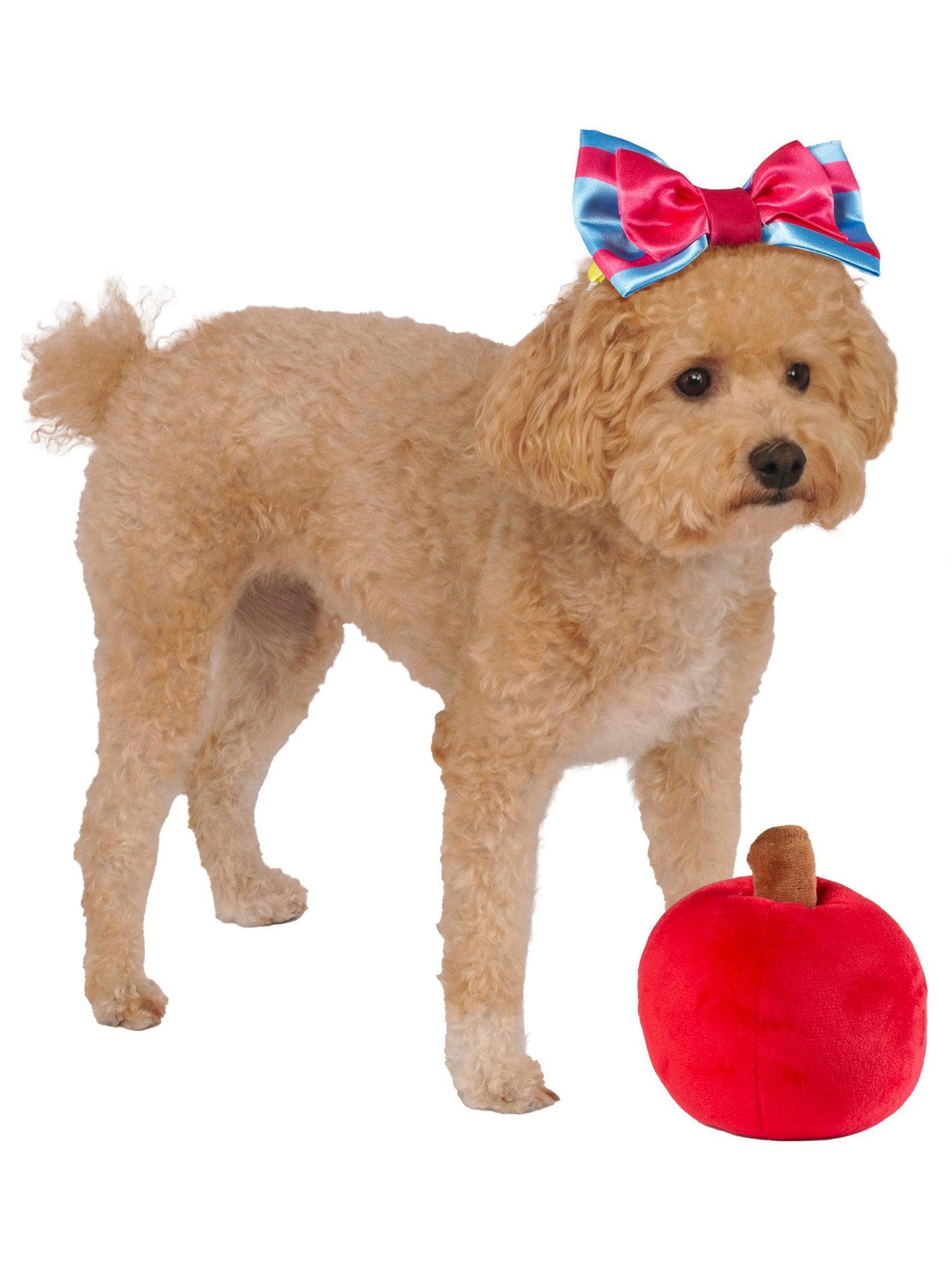 Snow White Pet Headpiece and Apple Toy