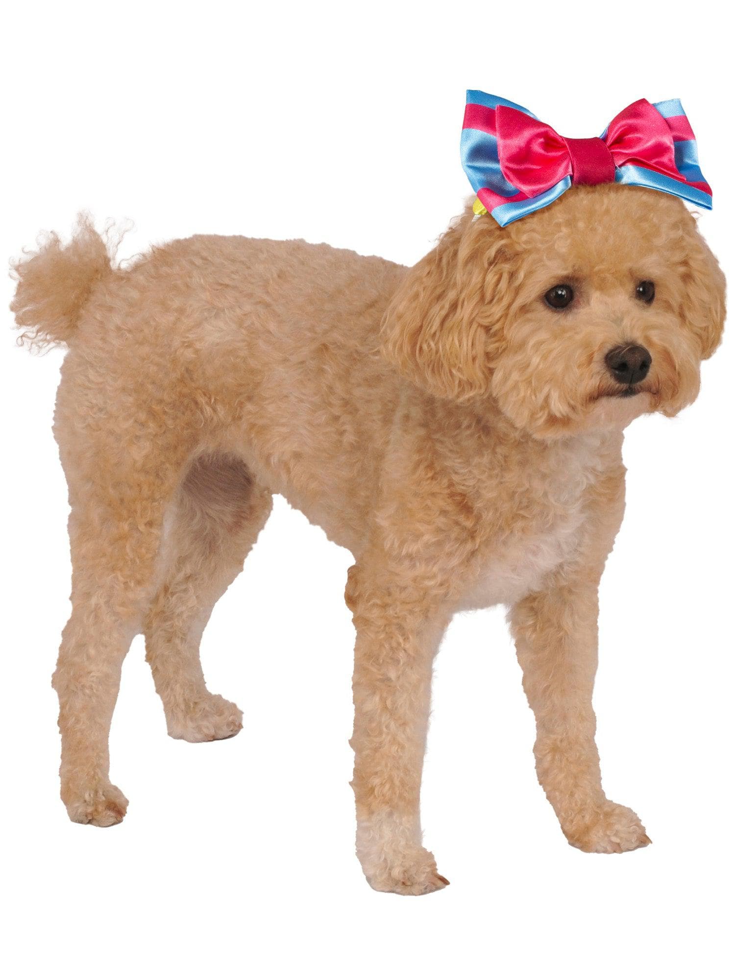 Snow White Pet Headpiece and Apple Toy - Image 2