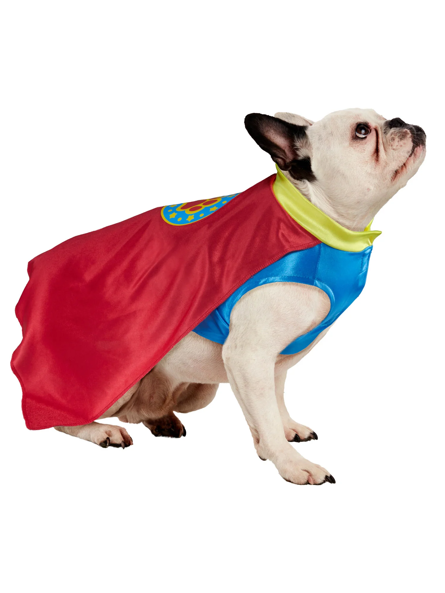 Superhero Pet Costume
