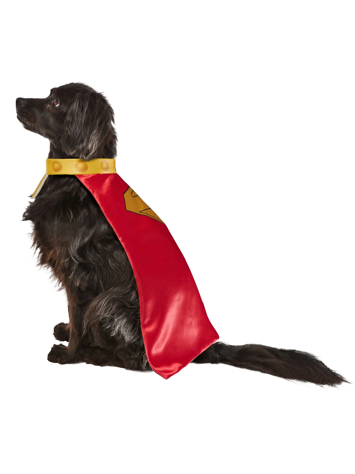 Superman Movie Krypto Pet Cape and Collar - Image 3