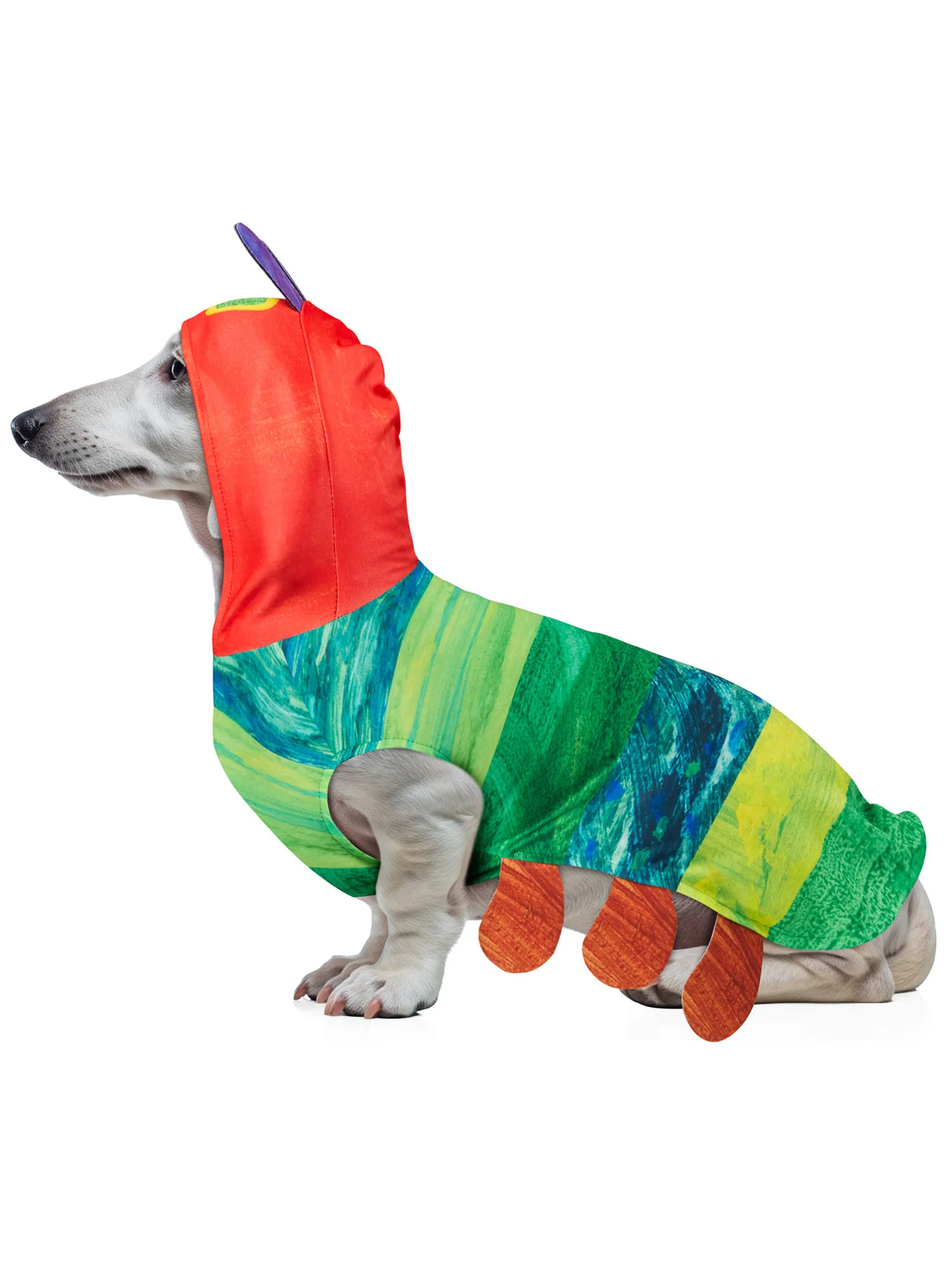 The Very Hungry Caterpillar Pet Costume - Image 4