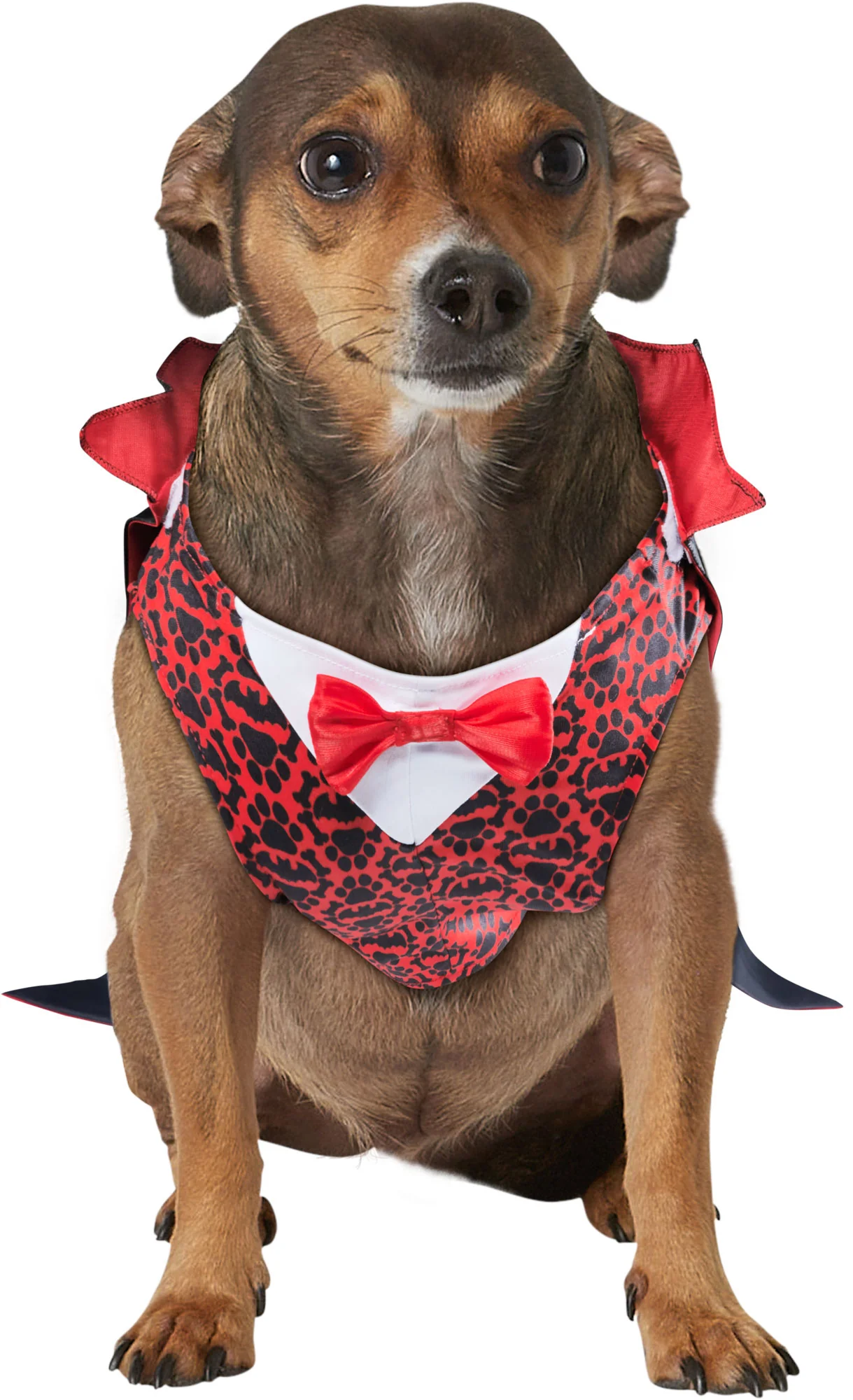 Vampire Pet Costume - Image 2