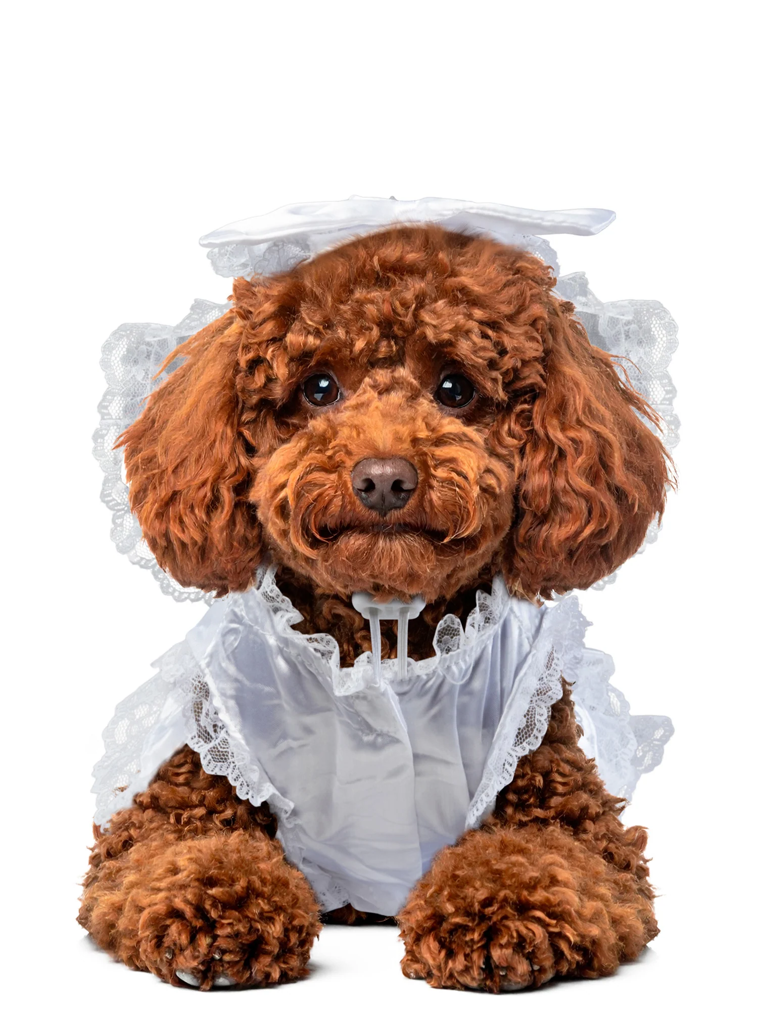 Wedding Bride Pet Costume - Image 2