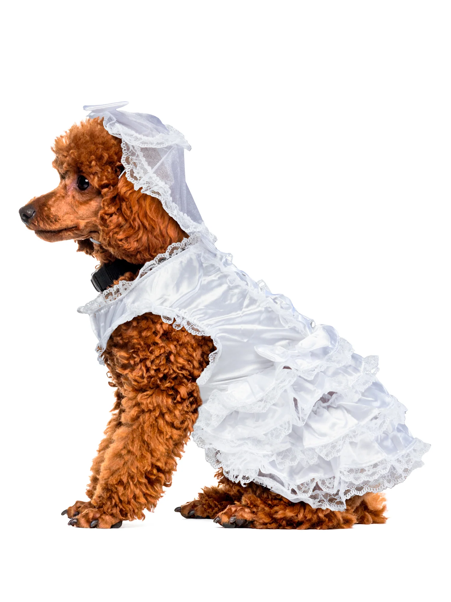 Wedding Bride Pet Costume - Image 3