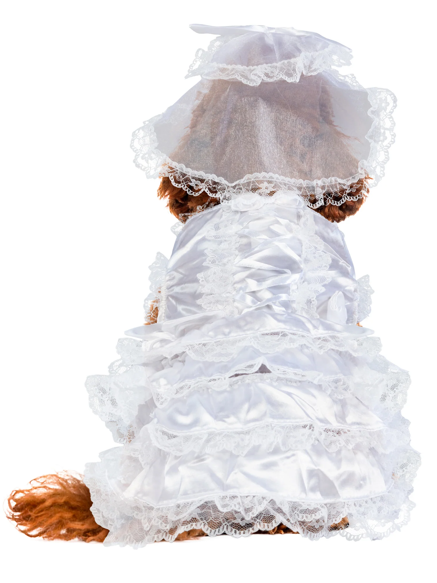 Wedding Bride Pet Costume - Image 4