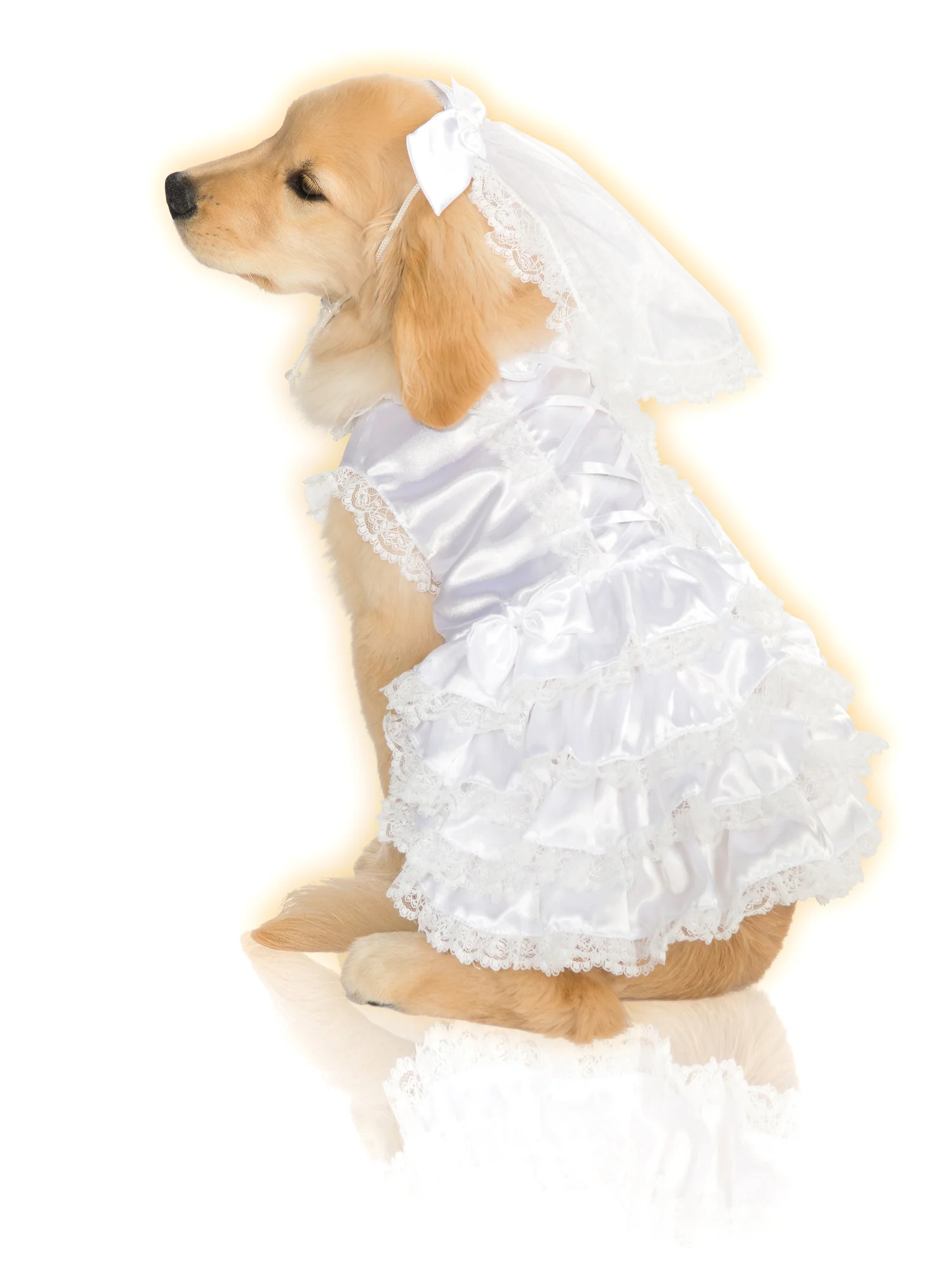 Wedding Bride Pet Costume - Image 6