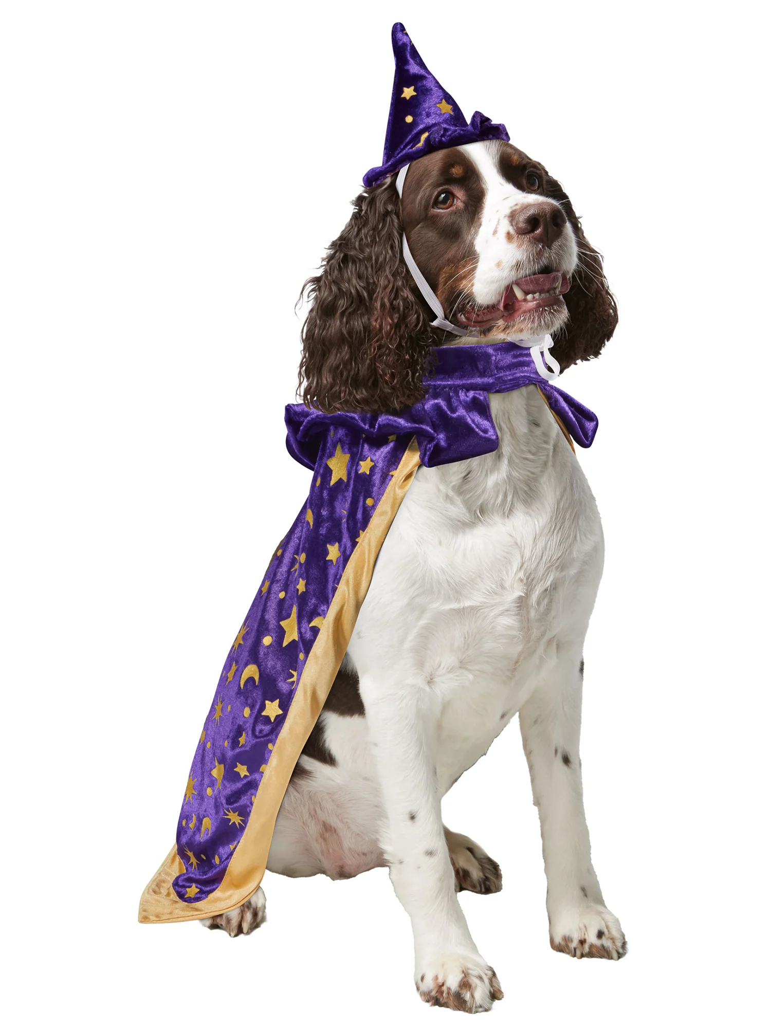 Wizard Pet Costume