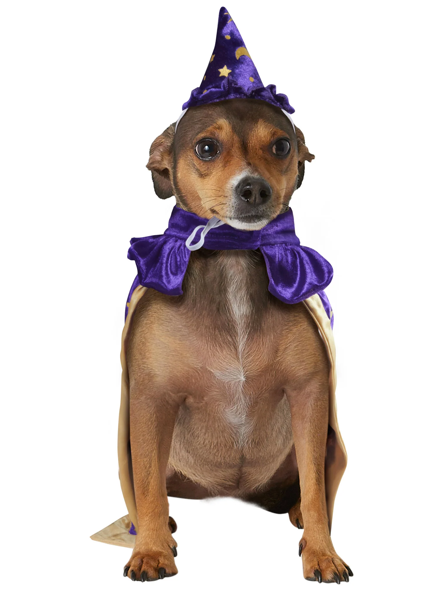 Wizard Pet Costume - Image 2