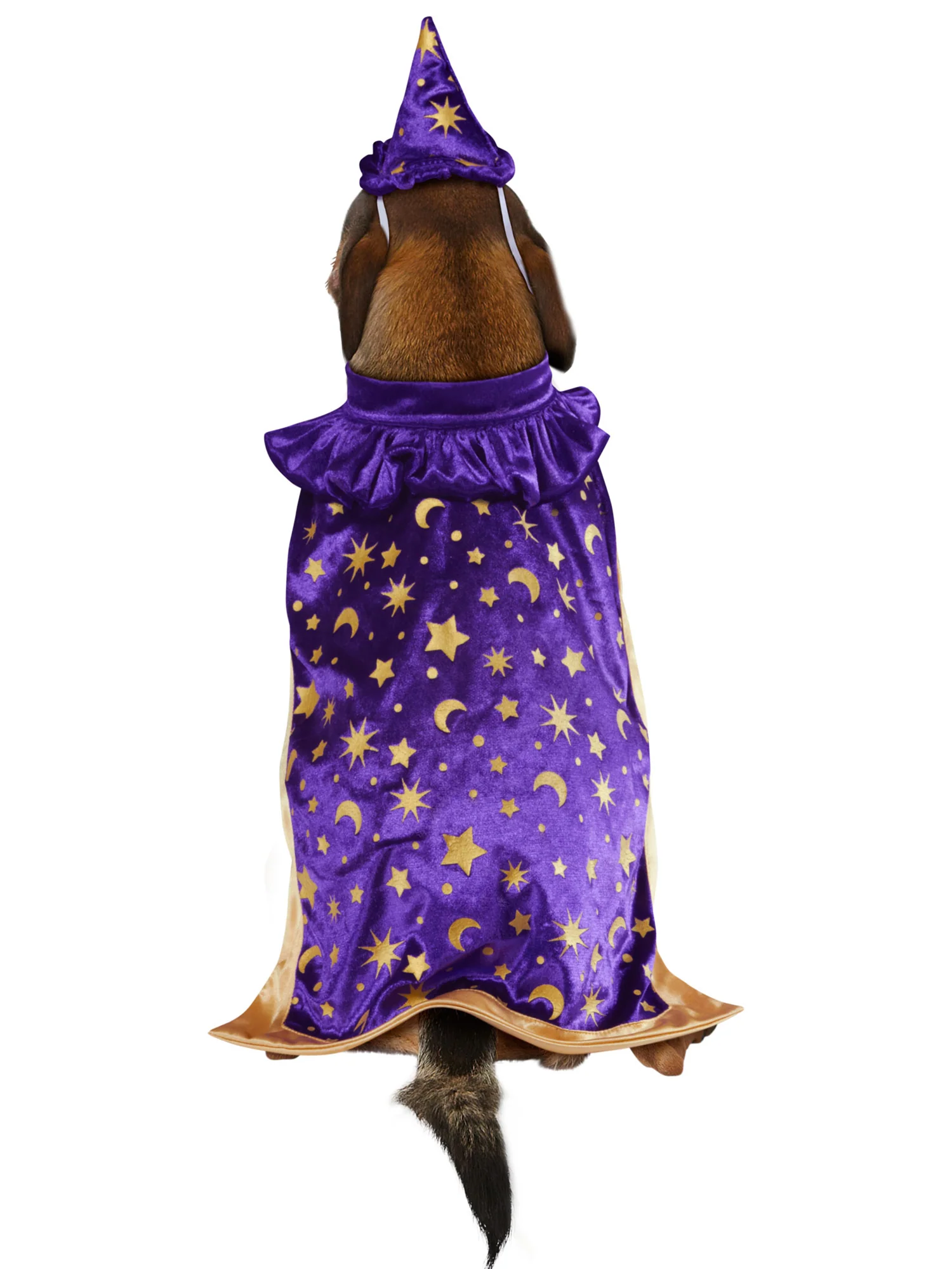 Wizard Pet Costume - Image 3