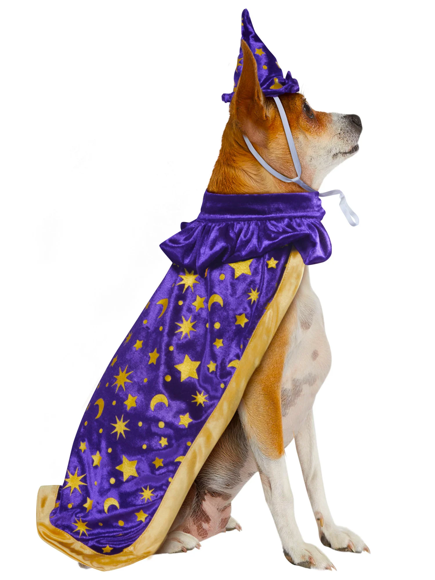 Wizard Pet Costume - Image 4