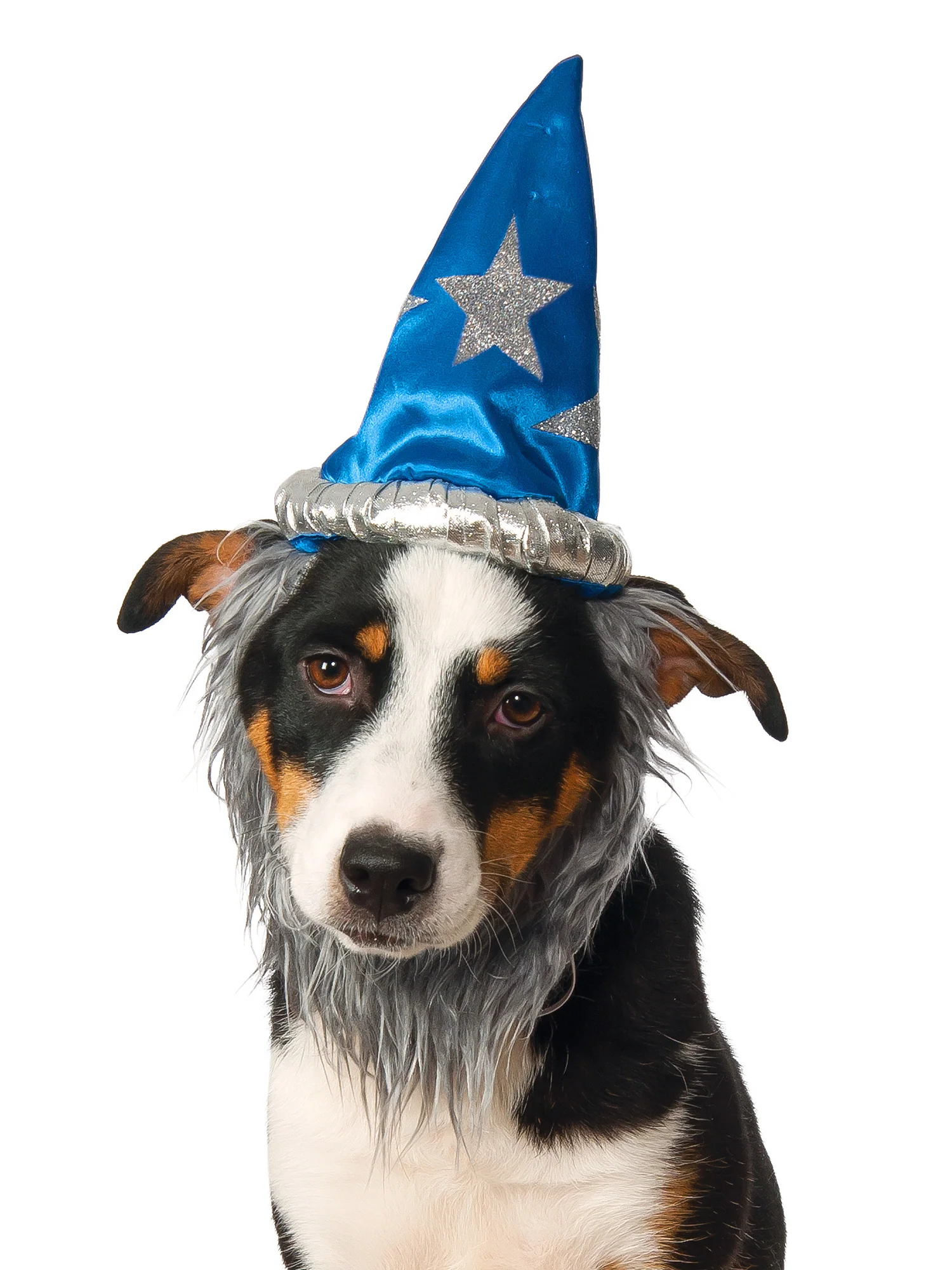 Wizard Pet Hat and Beard
