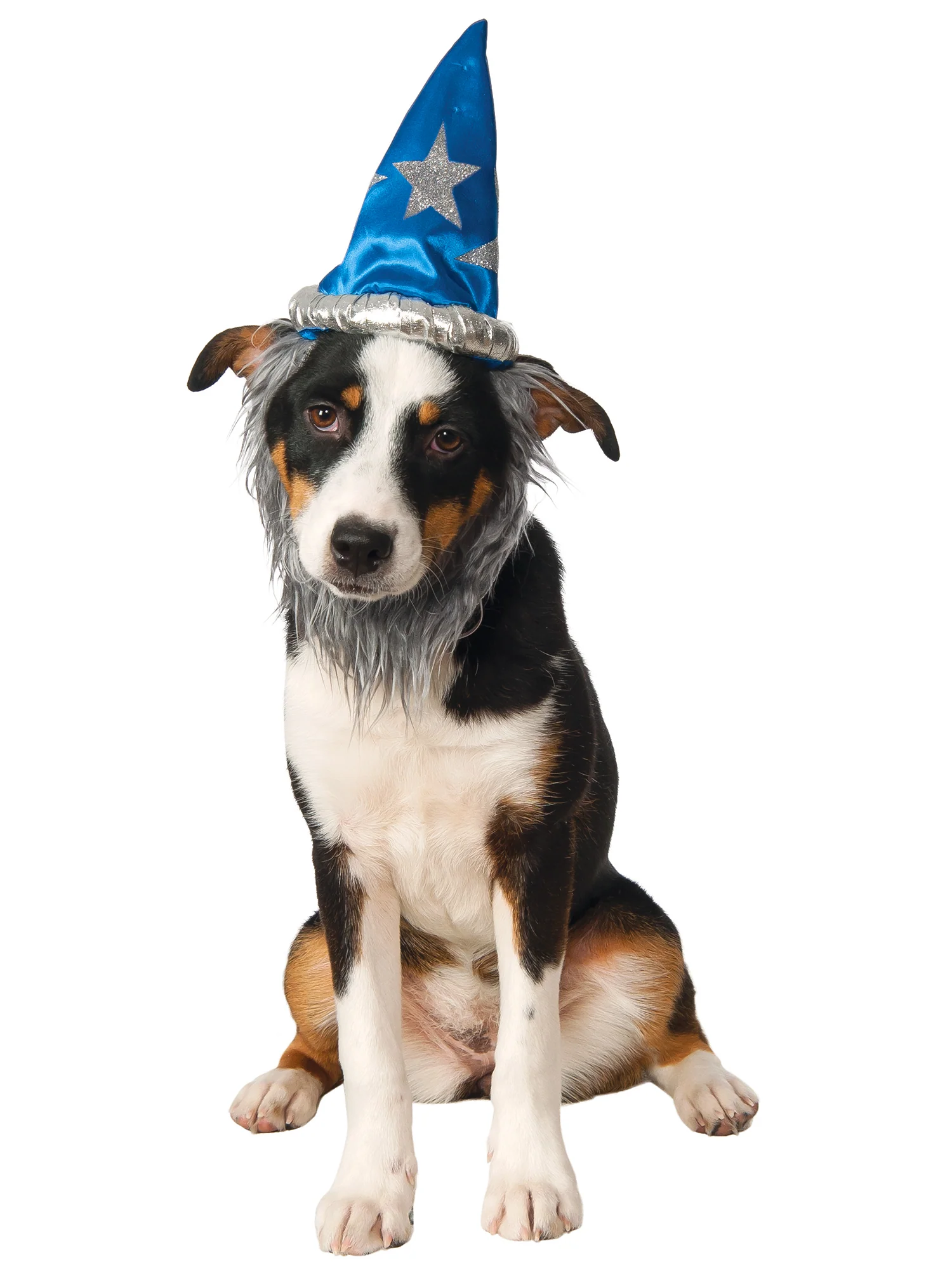 Wizard Pet Hat and Beard - Image 2