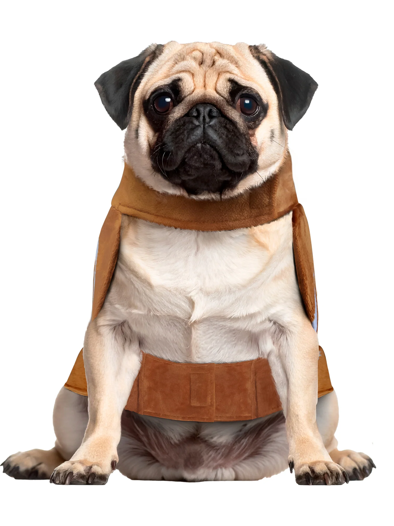 Football Fan Pet Costume - Image 2