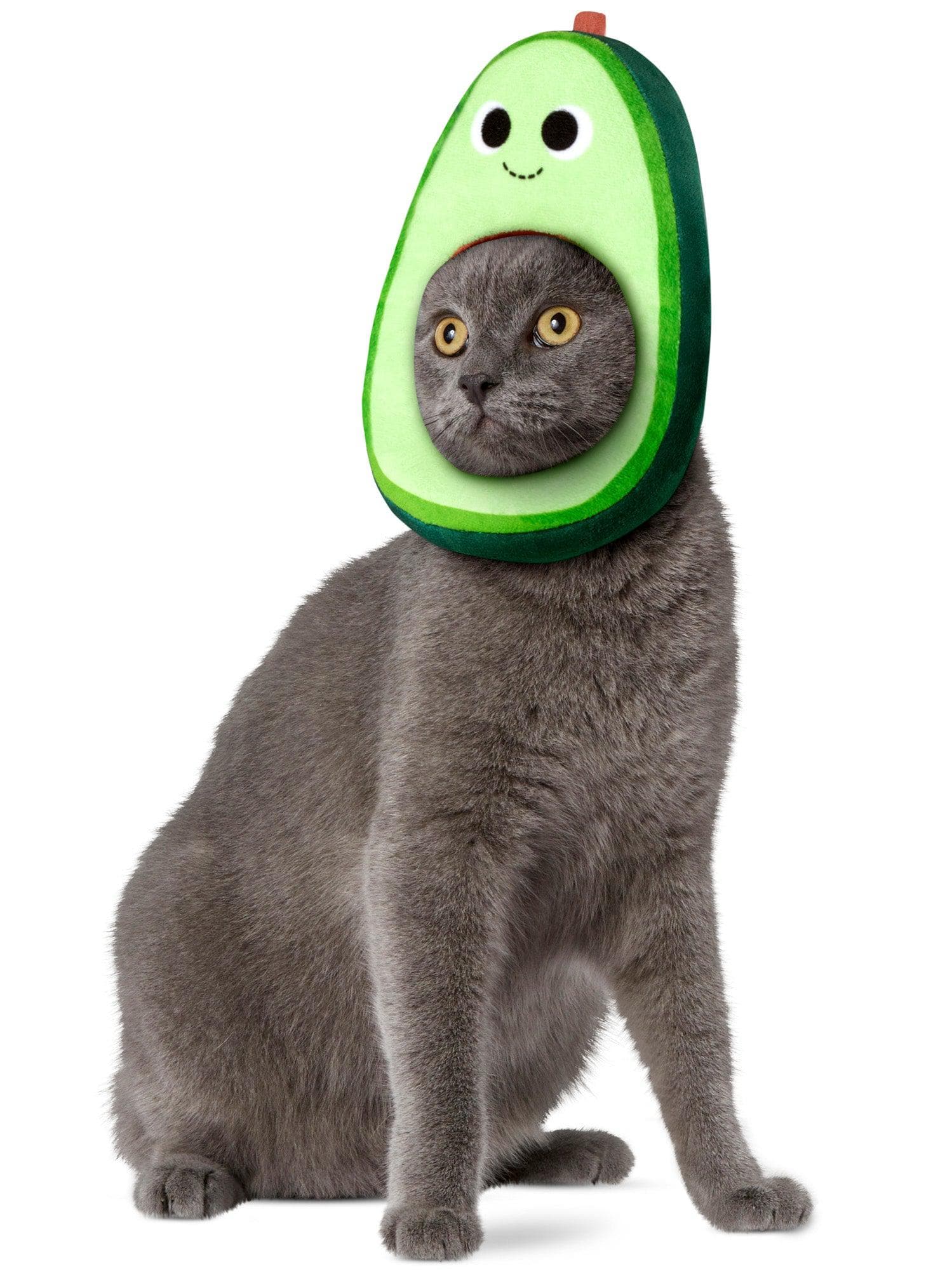 Yummy World Avocado Pet Headpiece by Kidrobot - Image 2